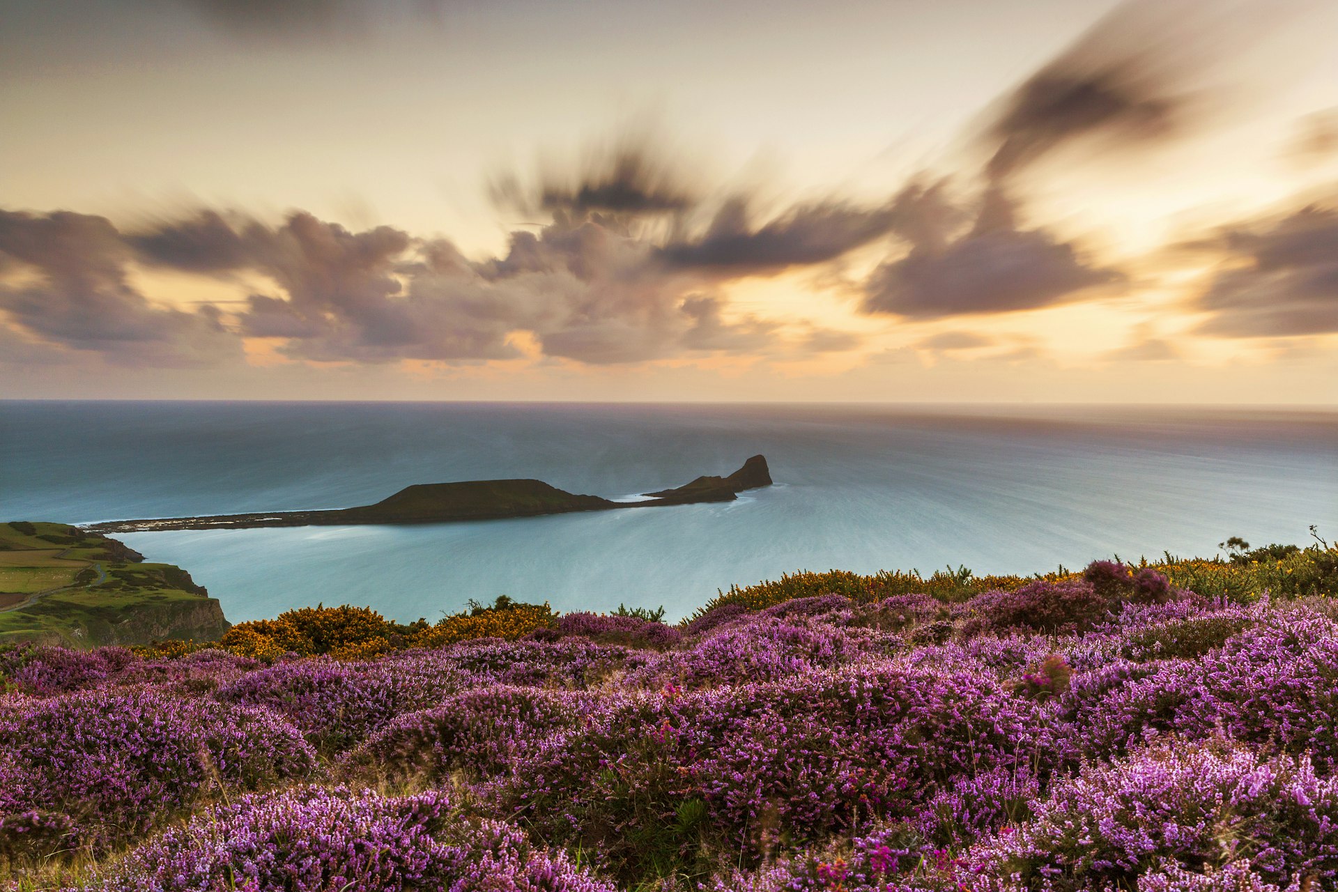 A coastal scene, with purple heather plants lining the shore. Out at sea are long thin rocky outcrops popping above the surface of the sea