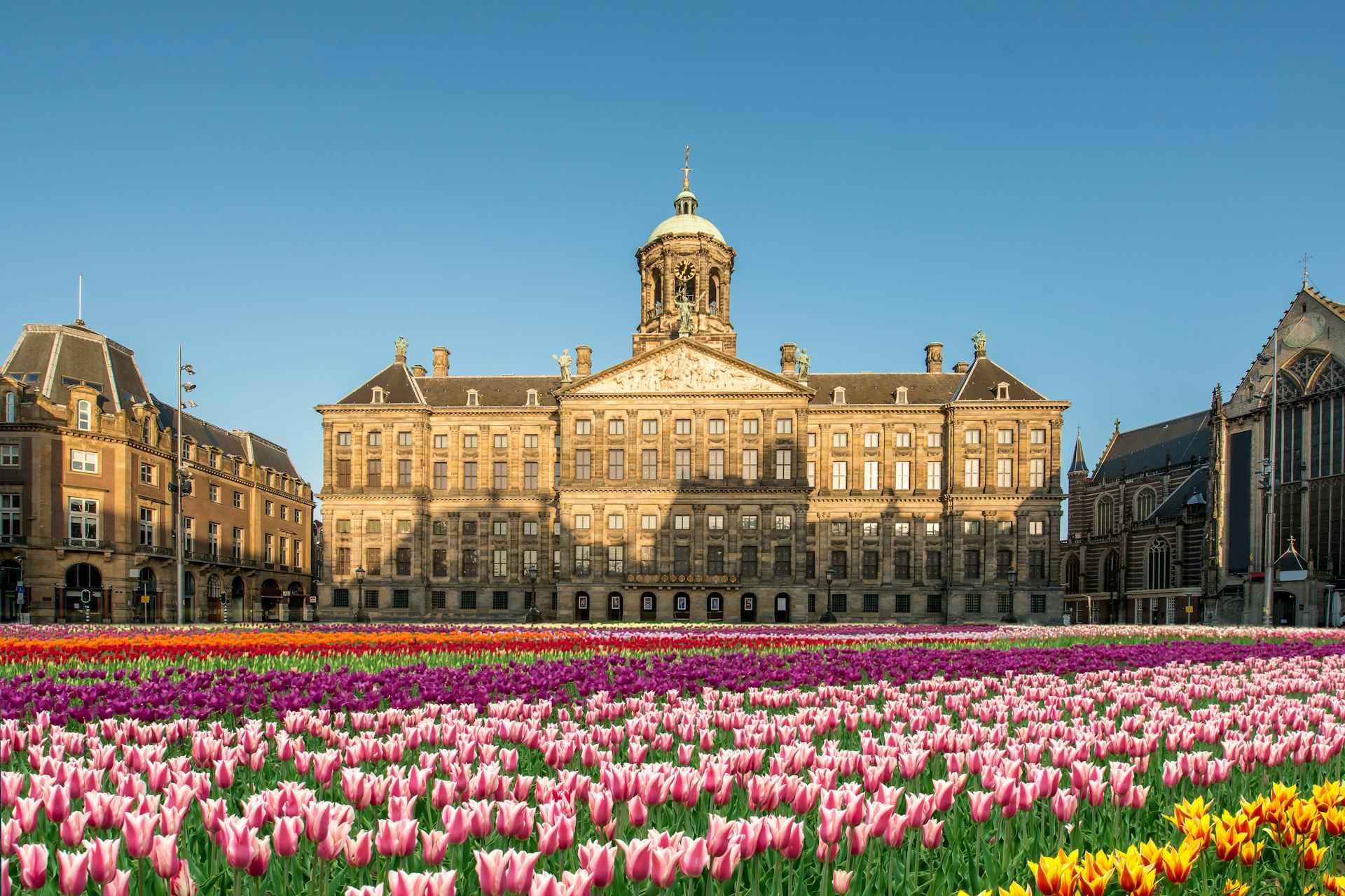 A tulip-filled open space in front of a huge palace building