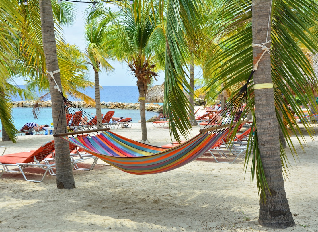 Hammock hanging between palm trees on Curacao beach