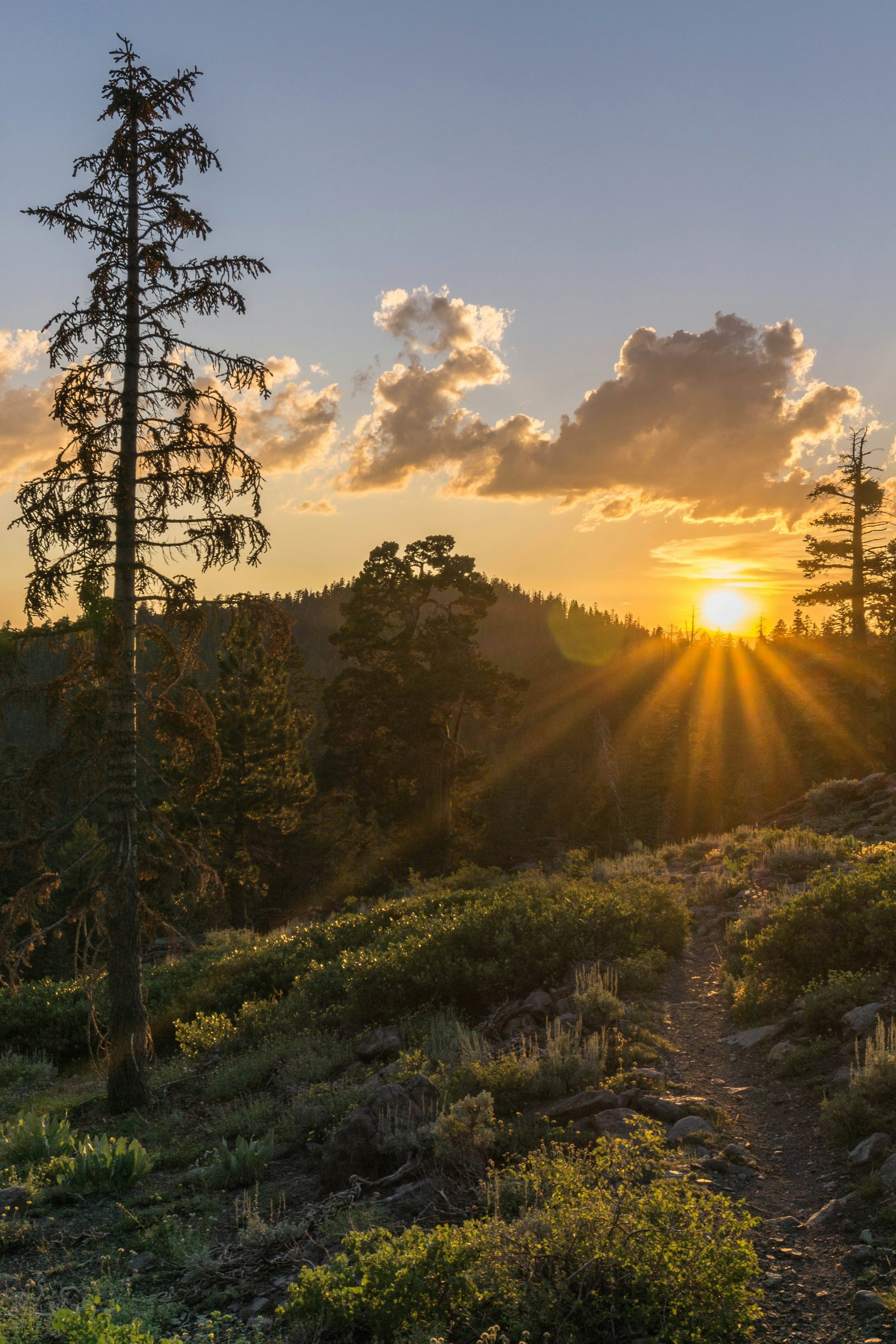 Tahoe Rim Trail sunset