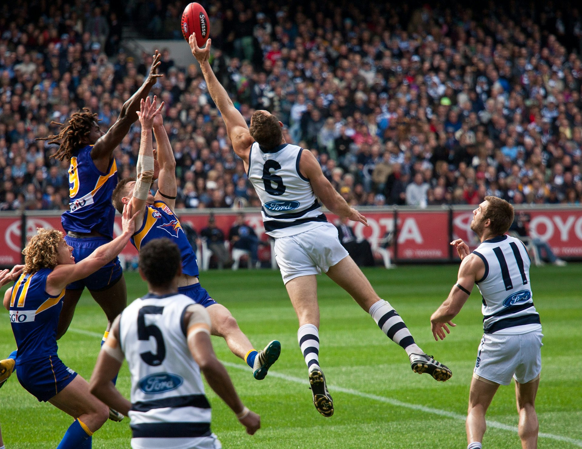 Brad Ottens (6) stretched for a ruck contest during Geelong's preliminary final win over West Coast on September 24, 2011