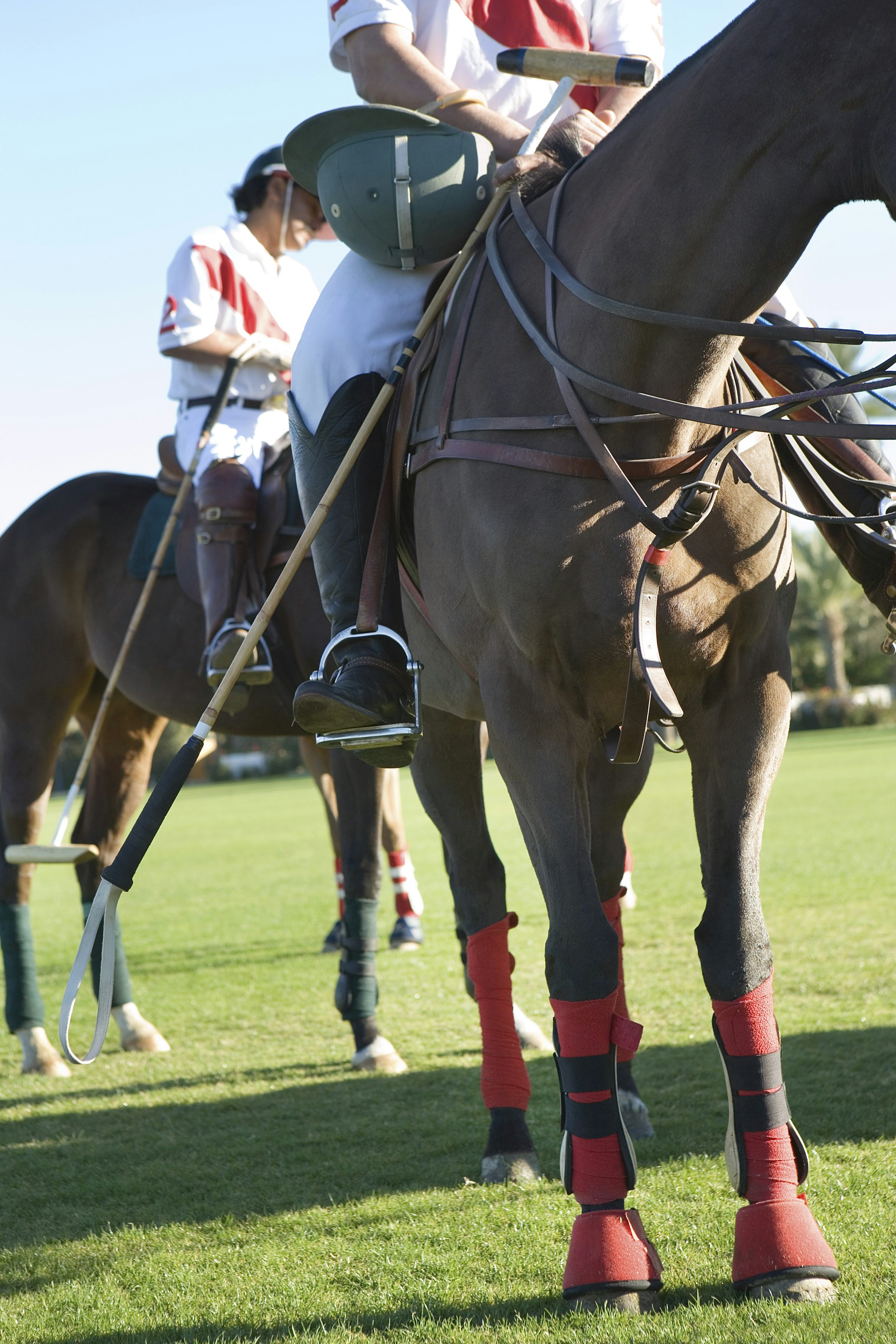polo player sitting on horse in sunny day Rhode Island