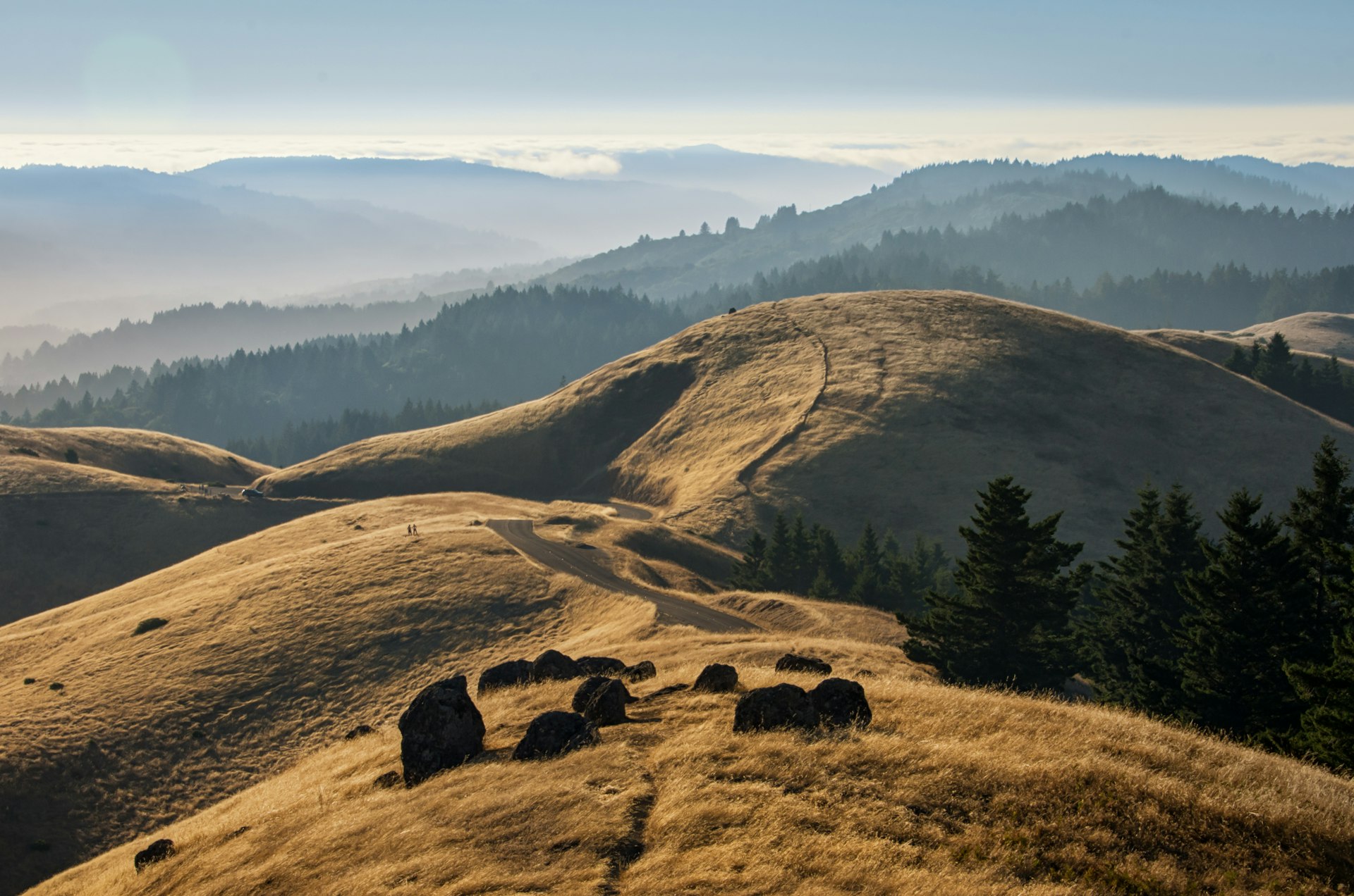 Mt Tamalpais