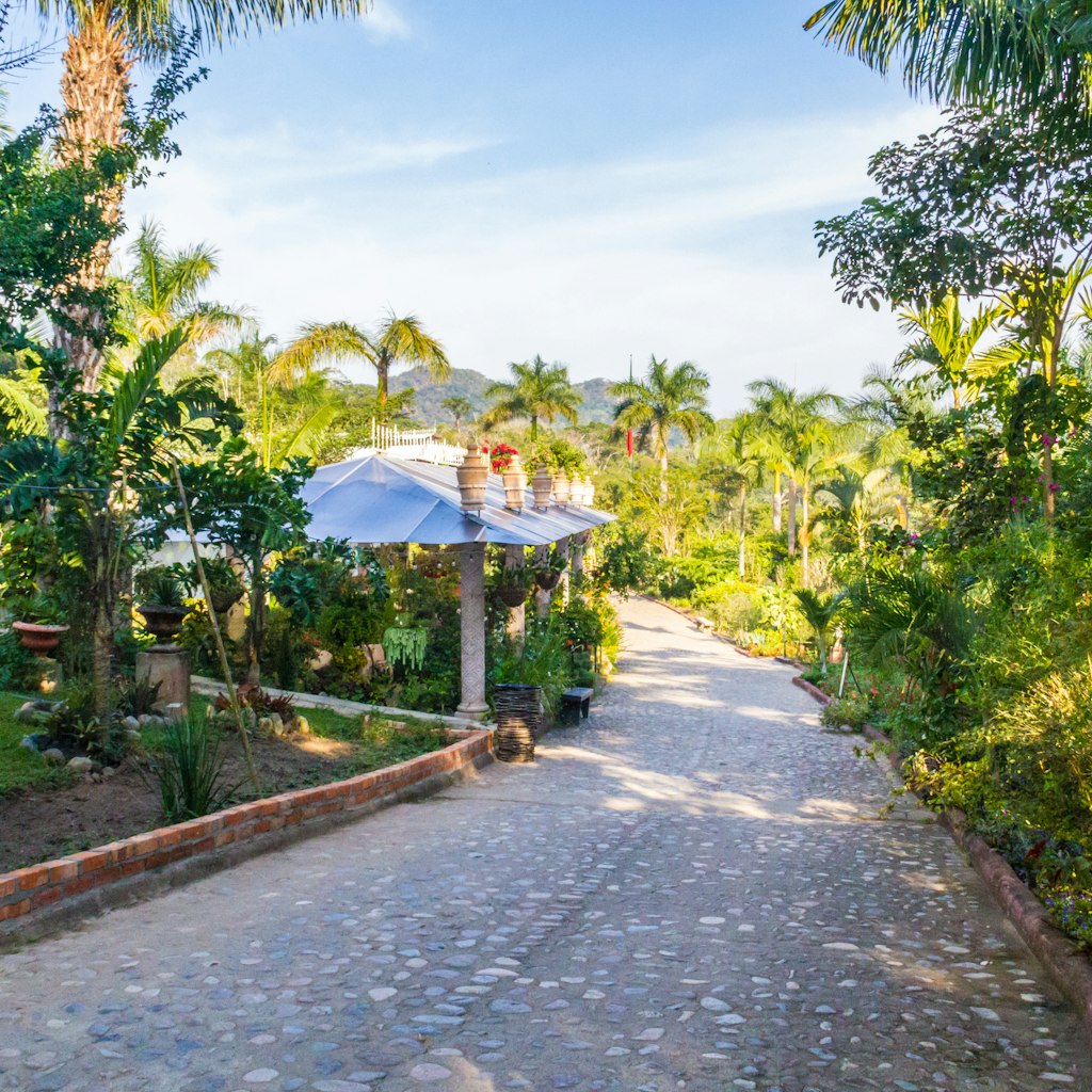 The Jardín Botánico de Vallarta is home to a fascinating variety of native plants and birds.