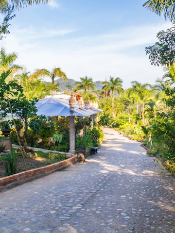 The Jardín Botánico de Vallarta is home to a fascinating variety of native plants and birds.