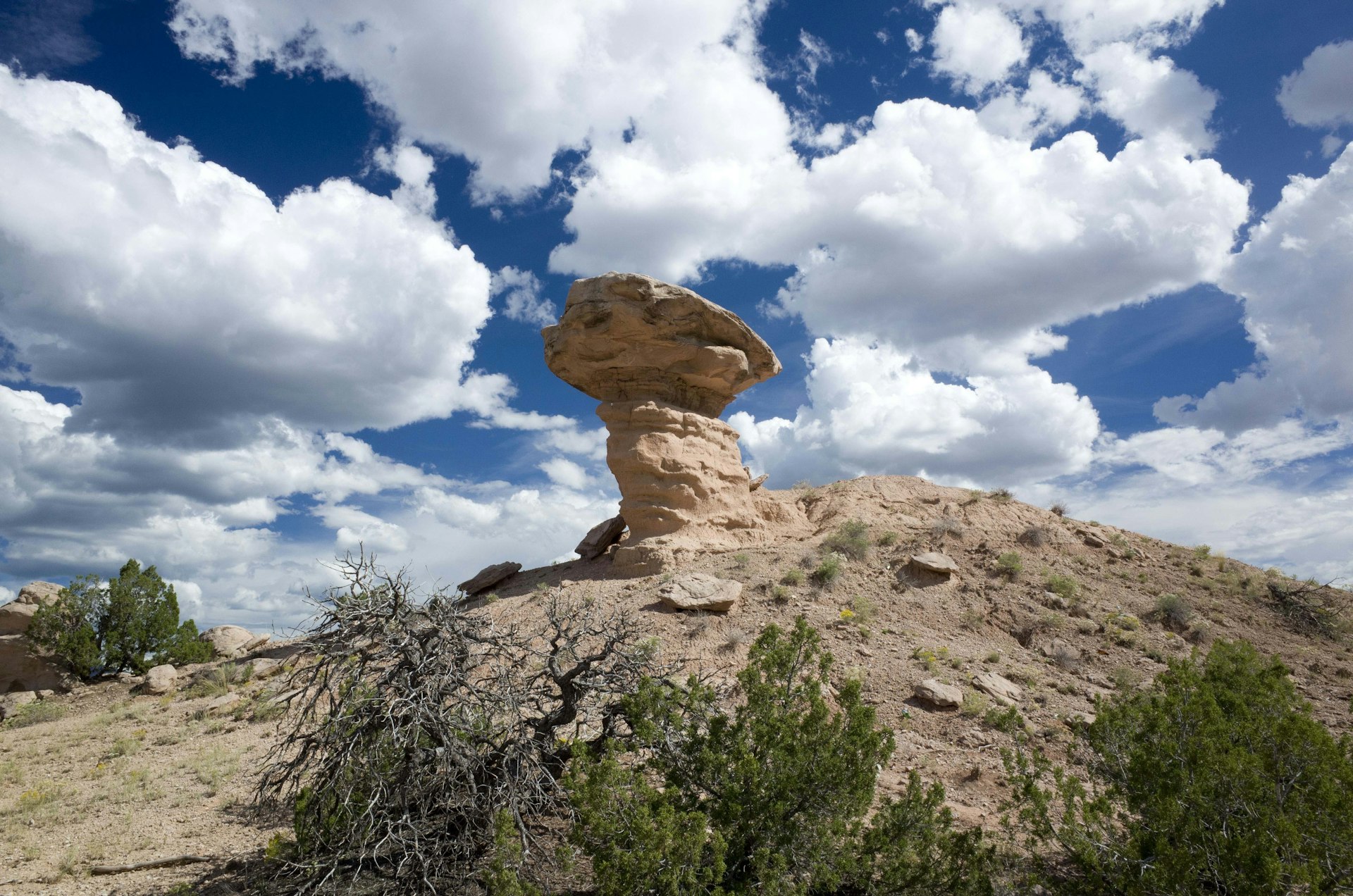 The pinkish sandstone Camel Rock Monument in New Mexico