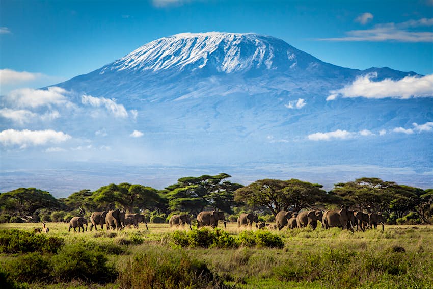 Kilimanjaro Kilimanjaro
