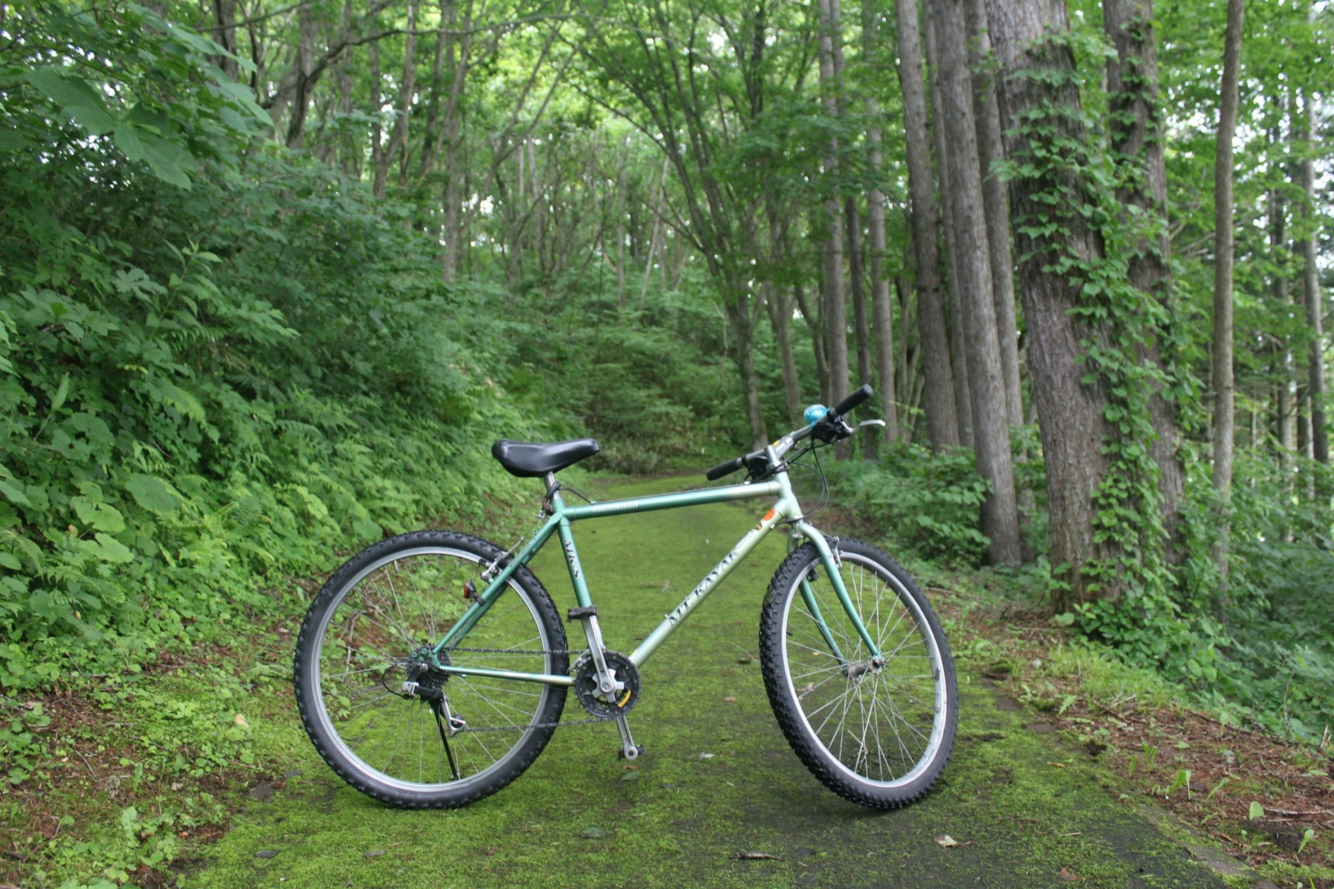 Bandai-Asahi-Bicycle.JPG