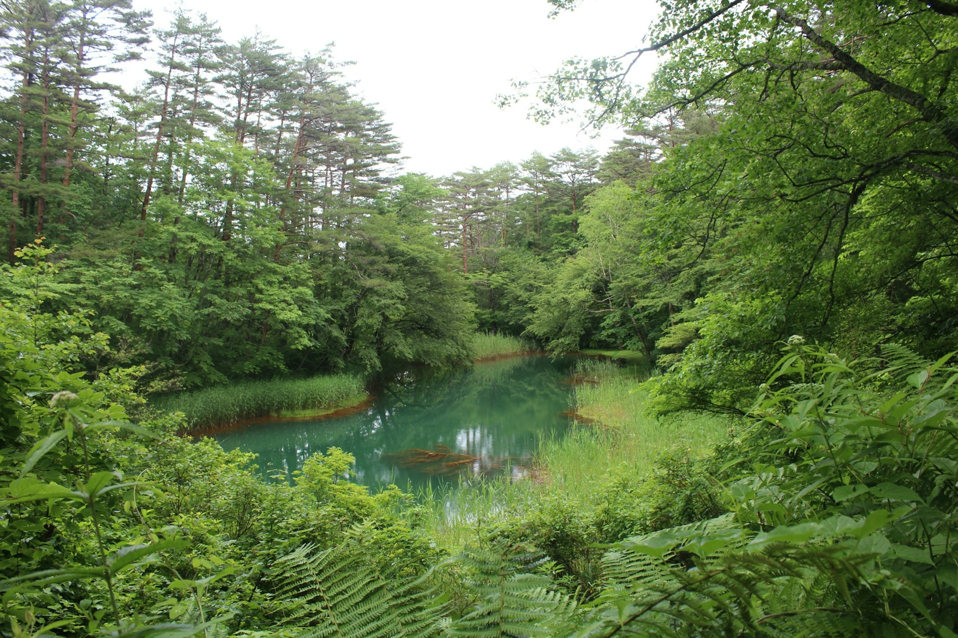 Bandai-Asahi-Pond.JPG