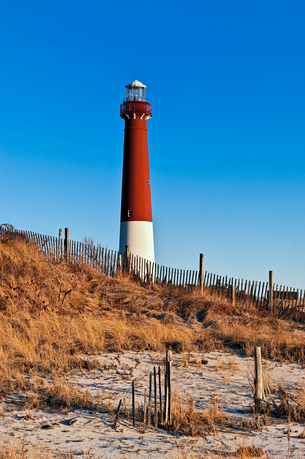 Barnegat Lighthouse The right and white Barnegat Lighthouse sticks up from above the sandy beach in Long Beach Island