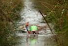 LLANWRTYD WELLS, UNITED KINGDOM - AUGUST 31:   A competitor takes part in the World Bog Snorkelling Championships held at Waen Rhydd Bog on August 31, 2009 in Llanwrtyd Wells, Wales.  (Photo by Richard Heathcote/Getty Images)