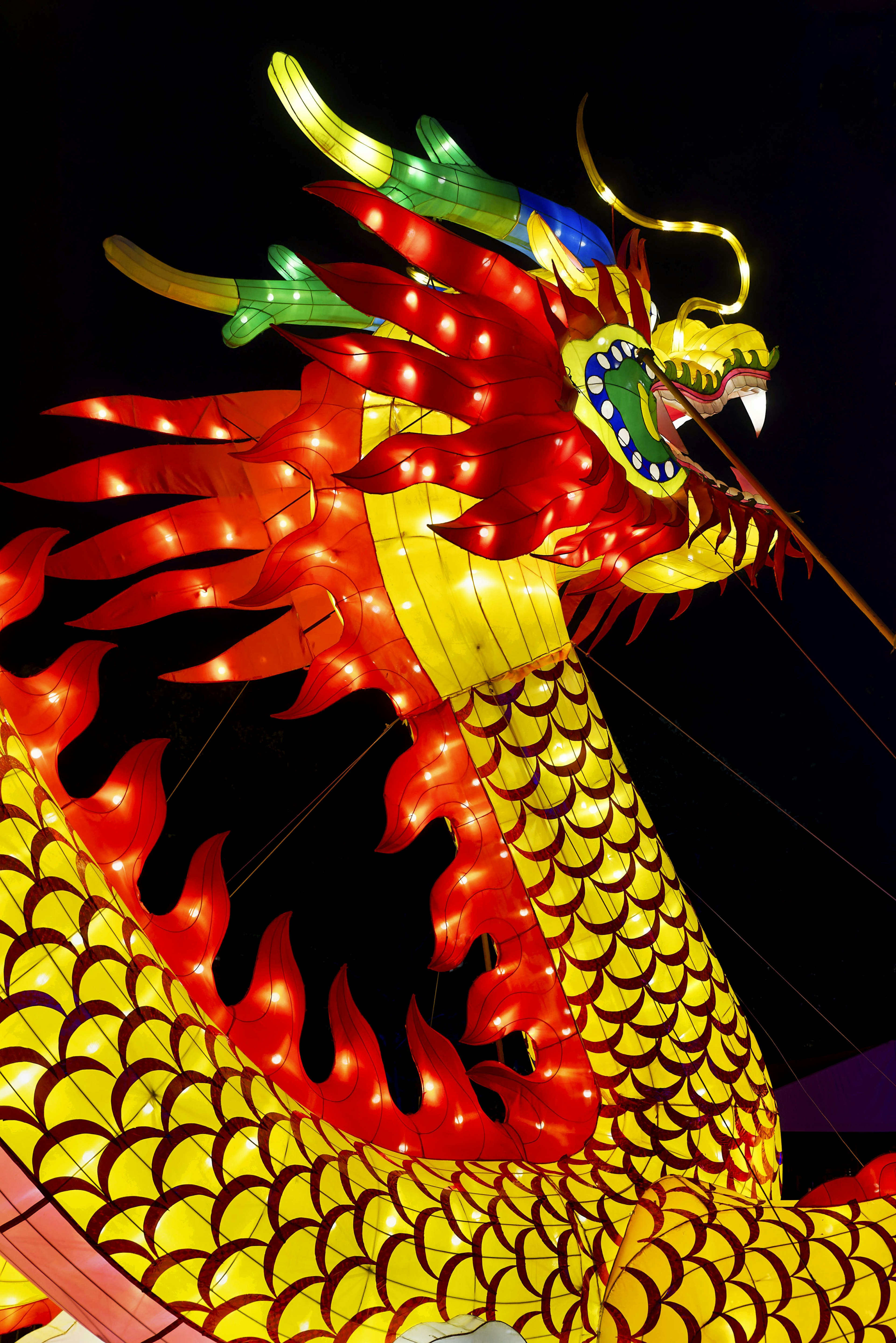 Closeup of an illuminated Chinese lantern in the shape of a dragon.