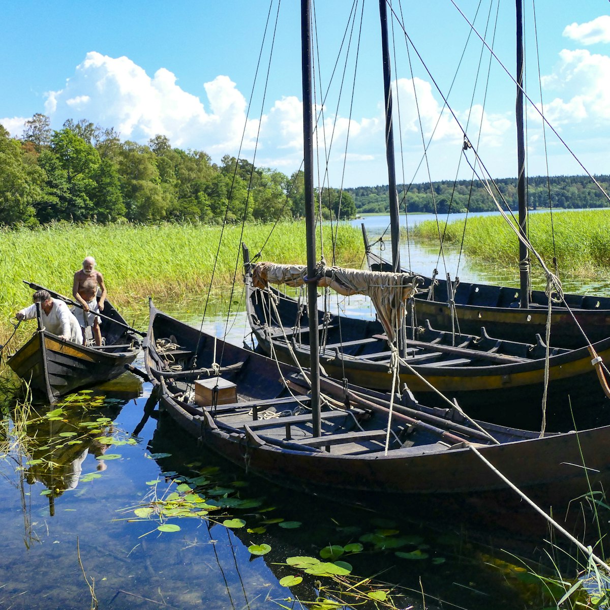 Viking long ships in the harbor at the Viking settlement of Birka in Lake Malaren.