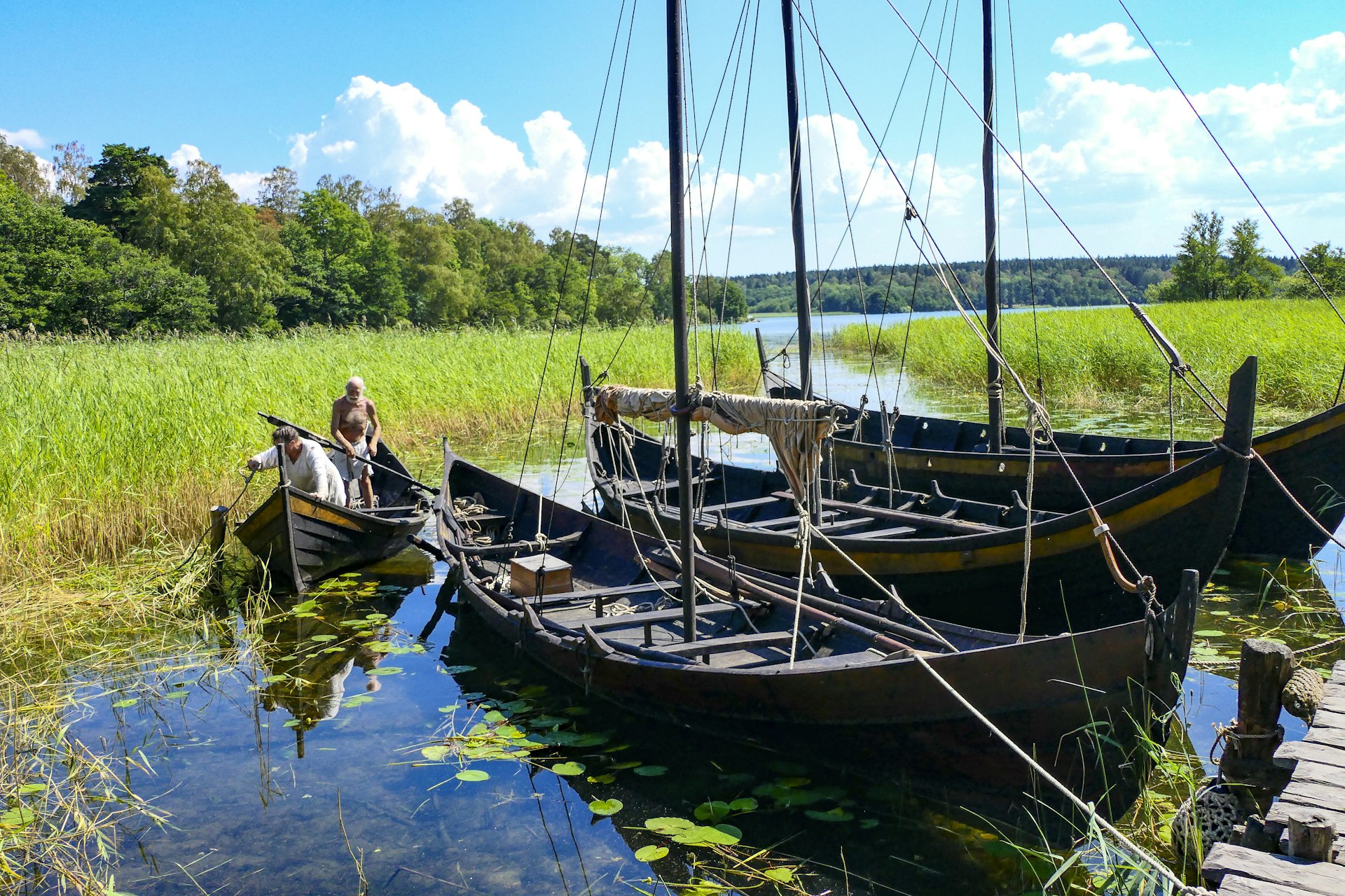 Wooden Viking longships moored together in a small harbor on the edge of peaceful water filled with reeds