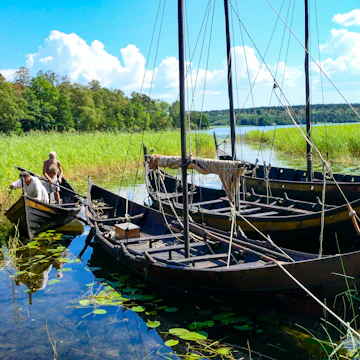 Viking long ships in the harbor at the Viking settlement of Birka in Lake Malaren.