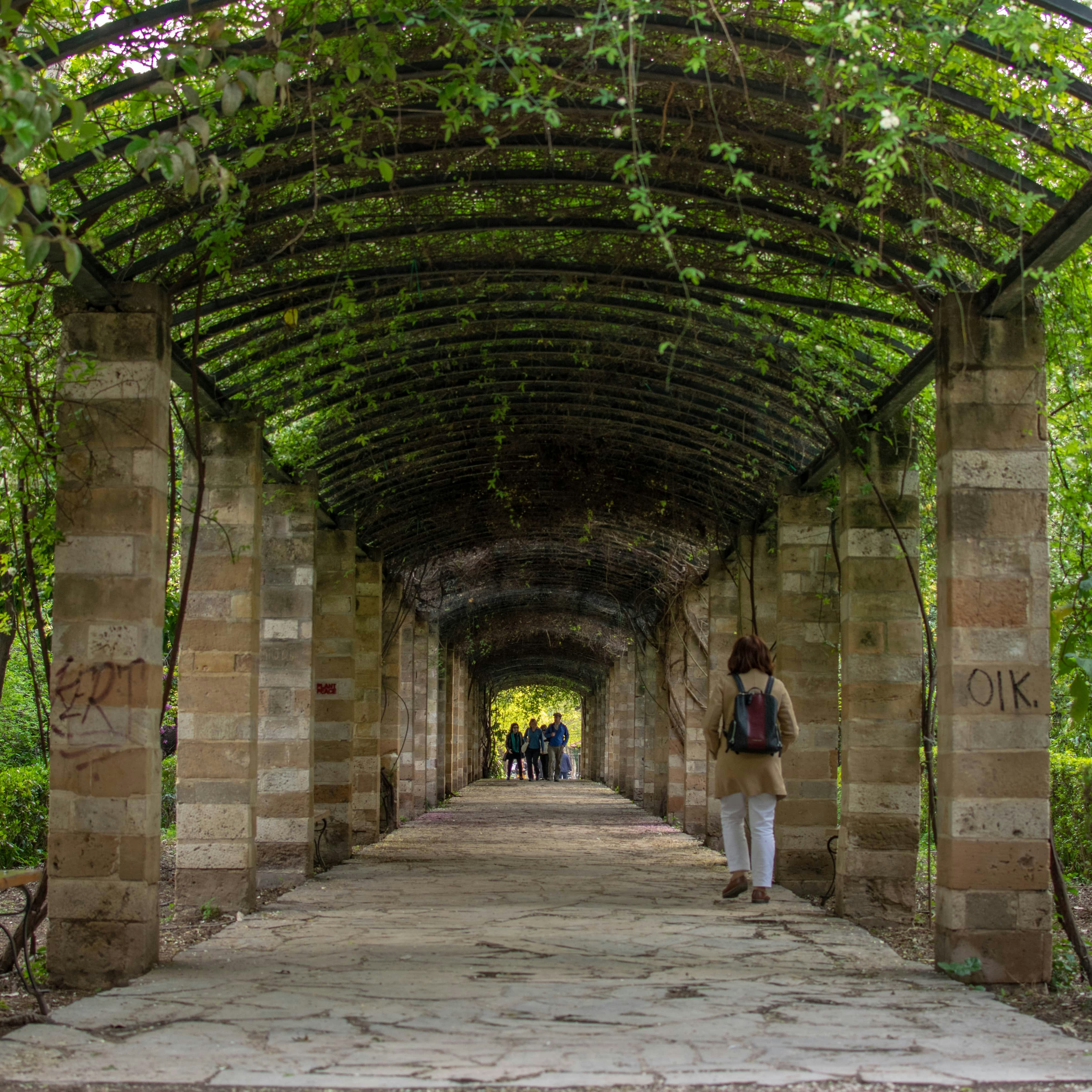 A verdant archway full of plants at the National Garden in Athens