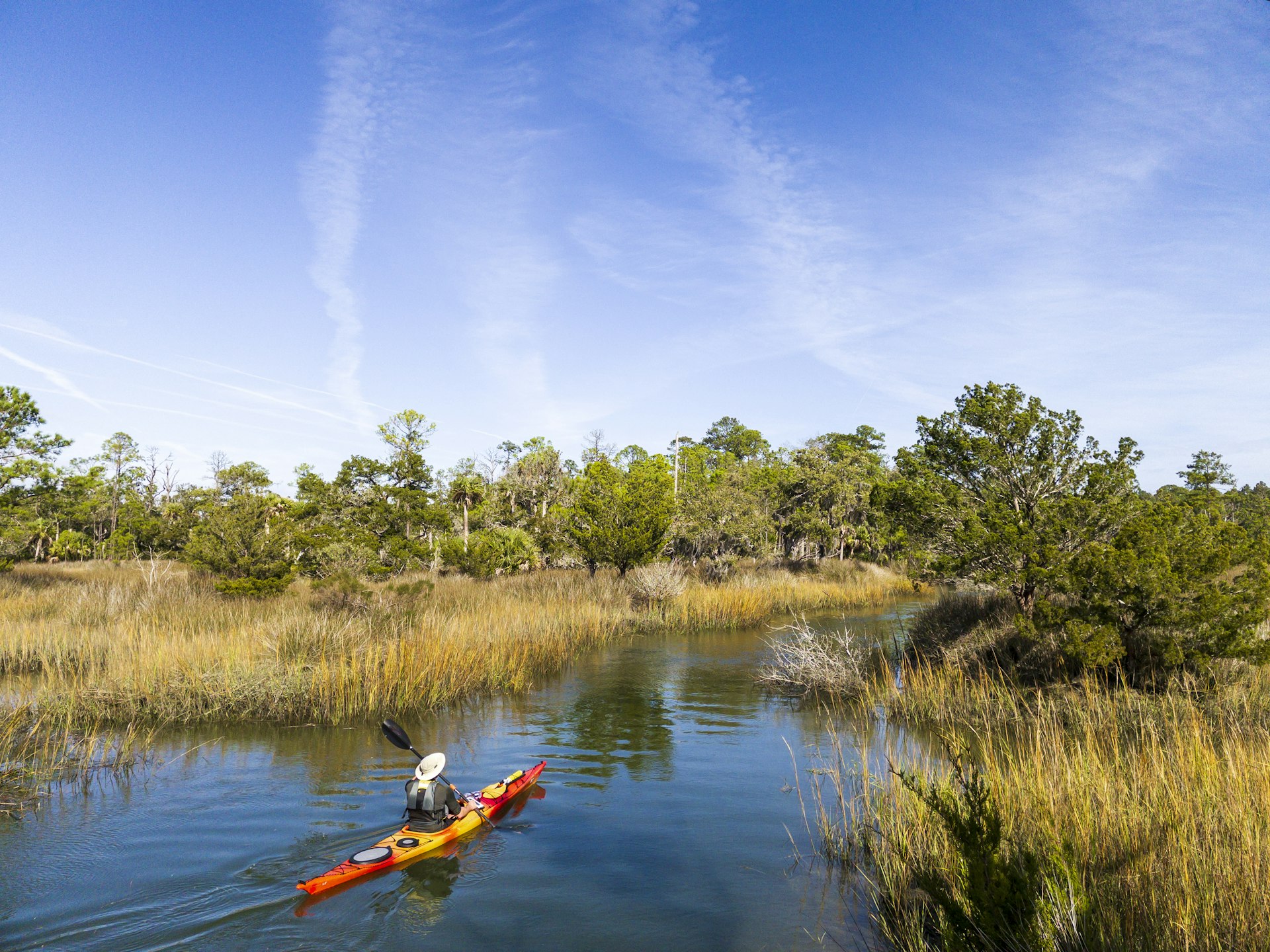 A red-and-yellow kayaker glides through water surrounded by reeds and rushes