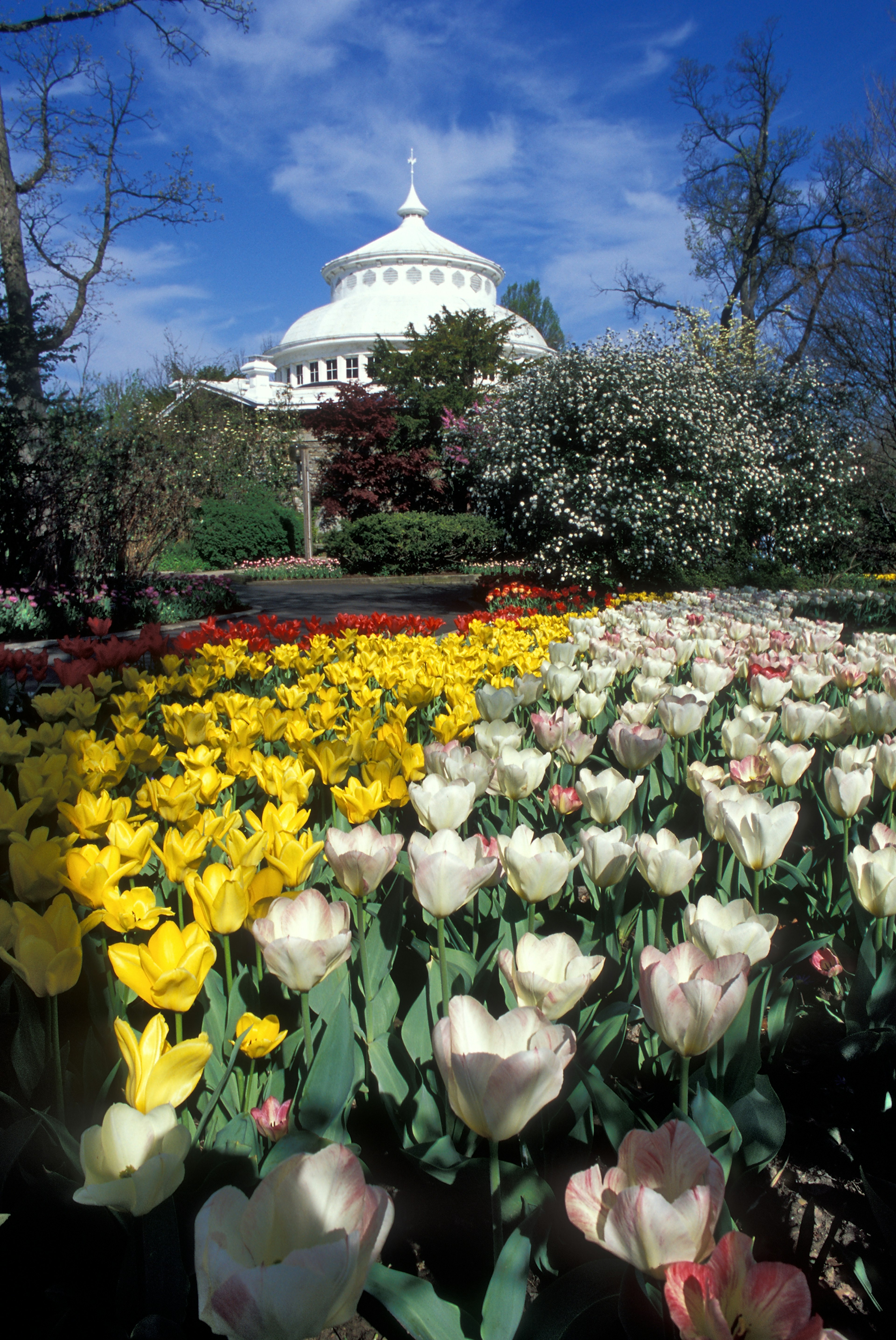 Springtime at the Cincinnati Zoo