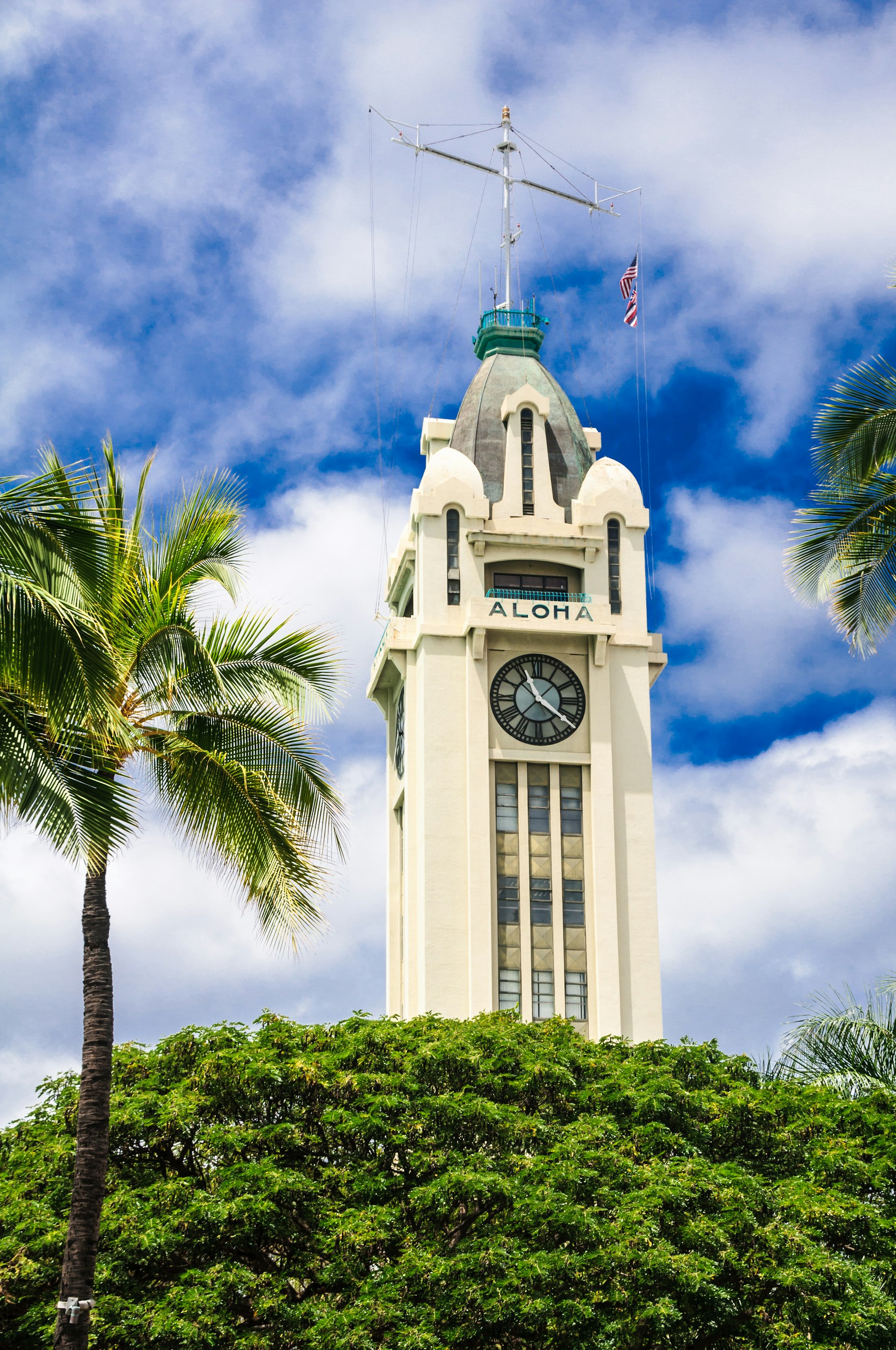 A vertical shot of a tall white clock tower with palm trees in the foreground and lovely blue skies behind