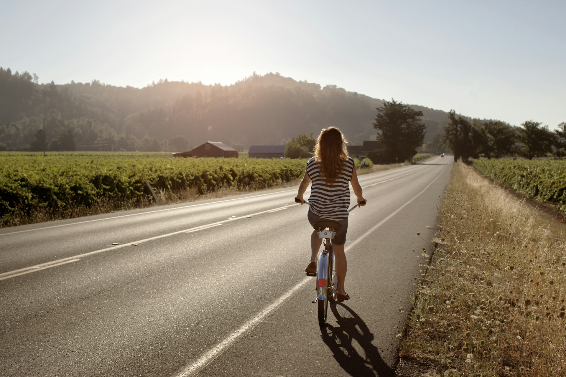 Rear view of woman cycling on road amidst vineyards as the sun sets