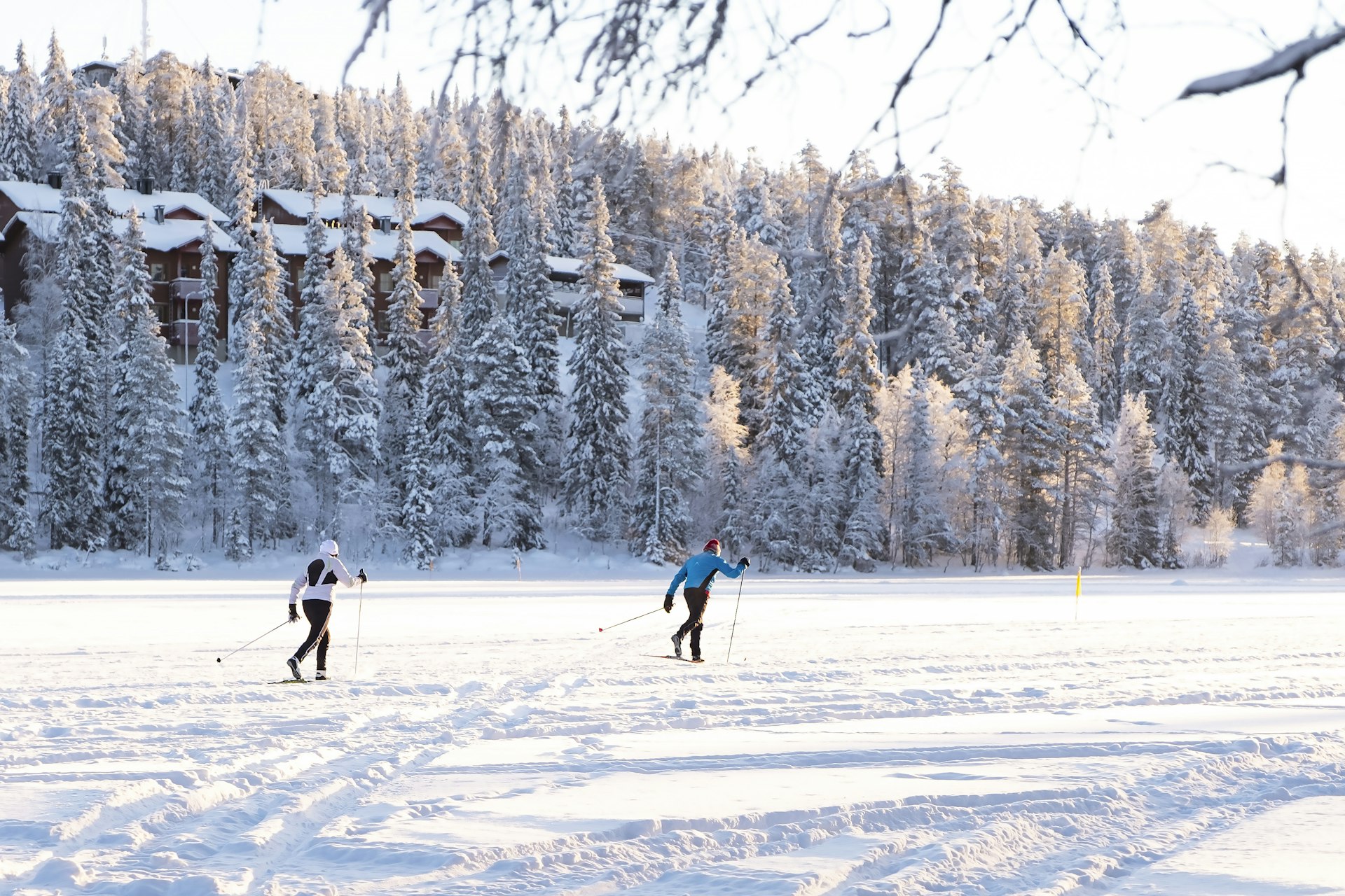 Two athletes running on skis on a frozen lake against the snow-covered forest