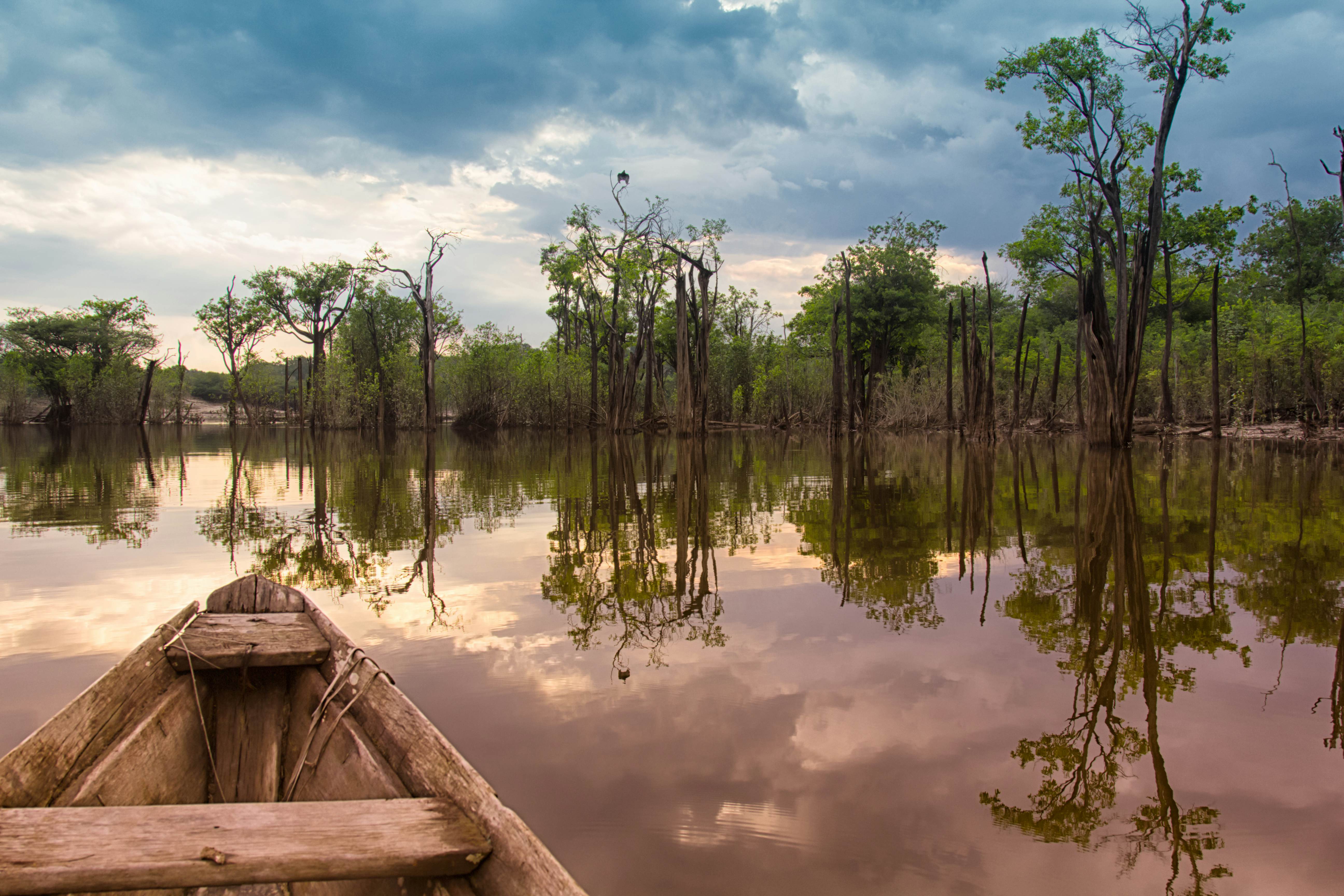 Jaguars and jungle giants: welcome to Brazil's best national parks - Vimarsana News
