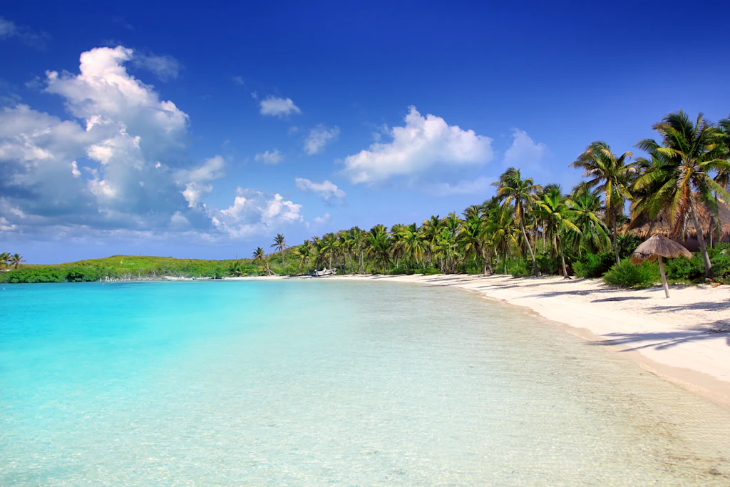 Palm trees and a white sand beach on Isla Contoy