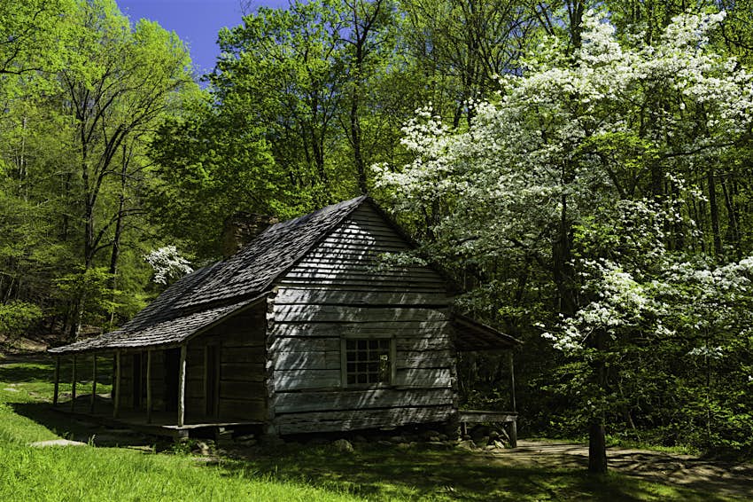 Noah 'Bud' Ogle's Hut in Spring