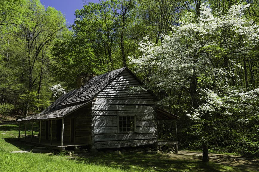 Noah "Bud" Ogle historic cabin in Tennessee