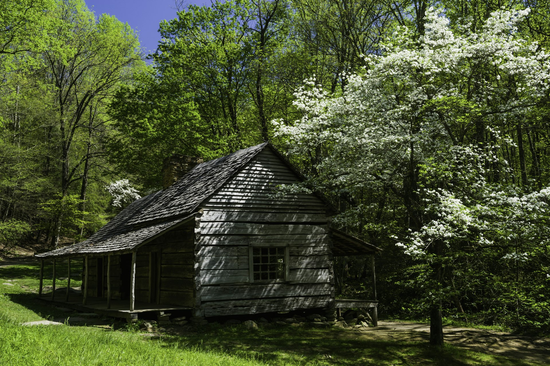 Noah 'Bud' Ogle's cabin in Spring