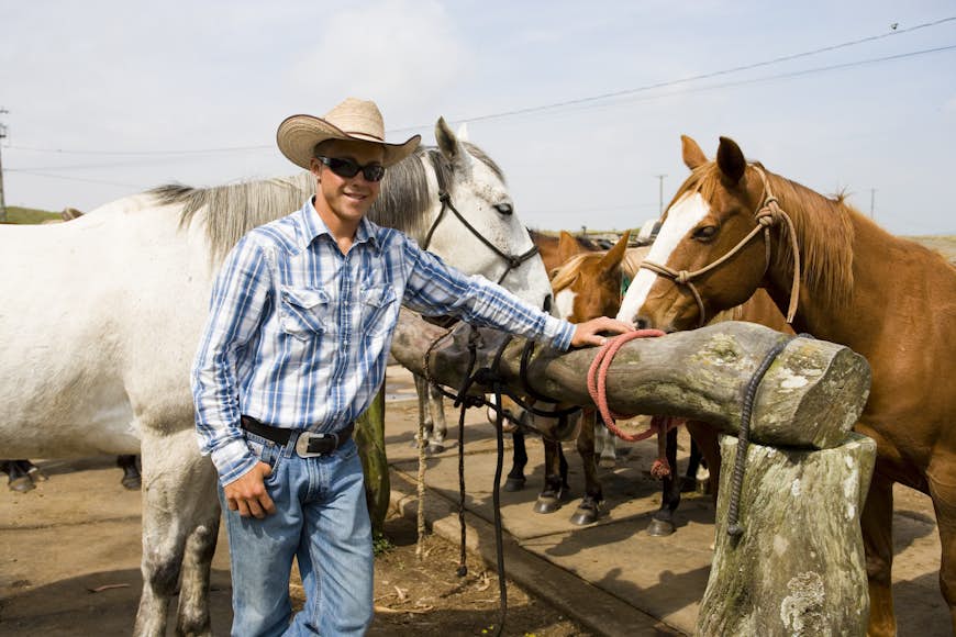 A local cowboy (paniolo) at a stable with horses on the Big Island, Hawaii