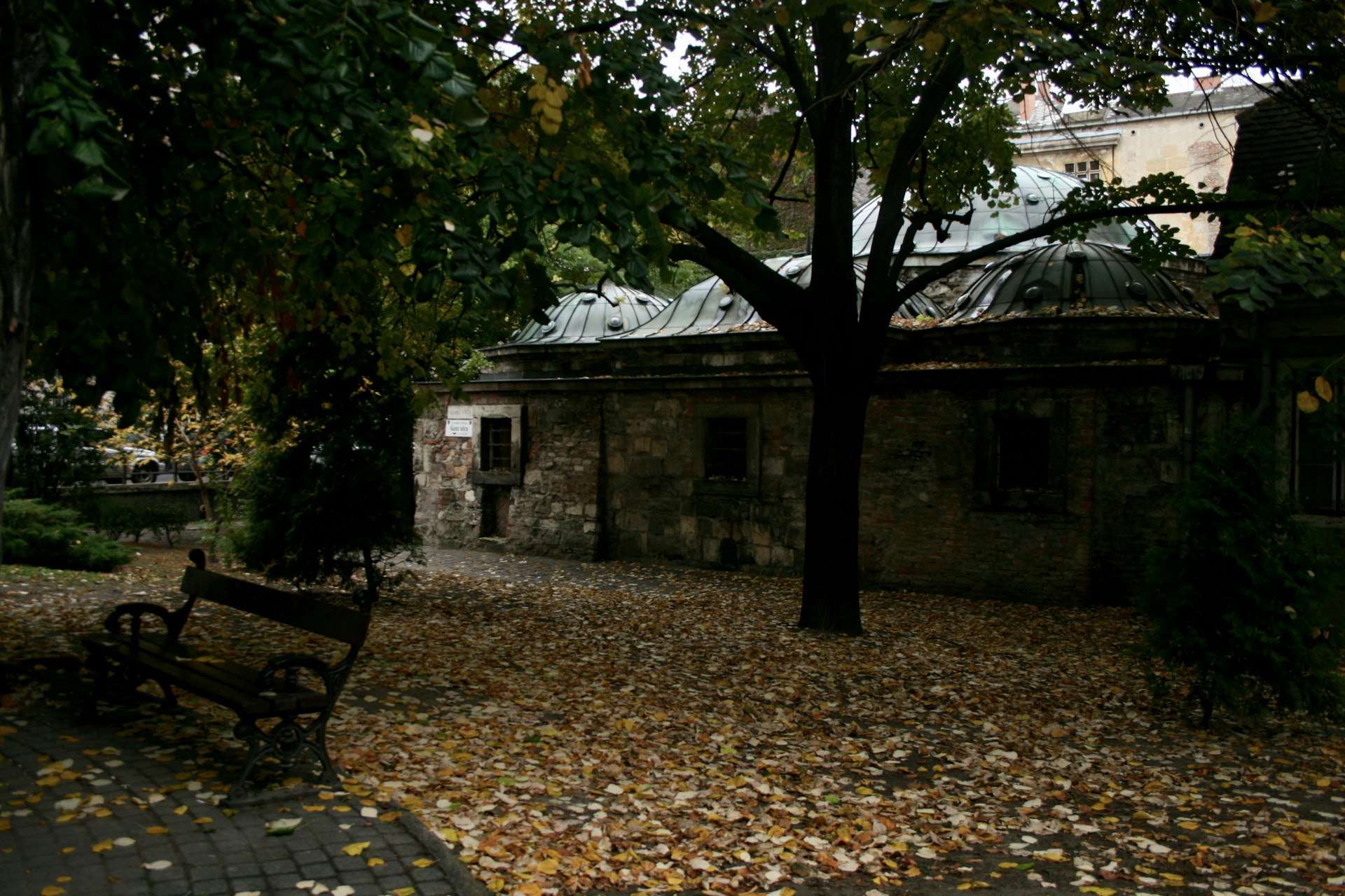 Hidden beneath the shadow of an overhanging tree, where autumnal leaves litter the ground and a bench sits empty are multi-brick walls and the domed roof of the Király Baths, the oldest Turkish baths in Budapest