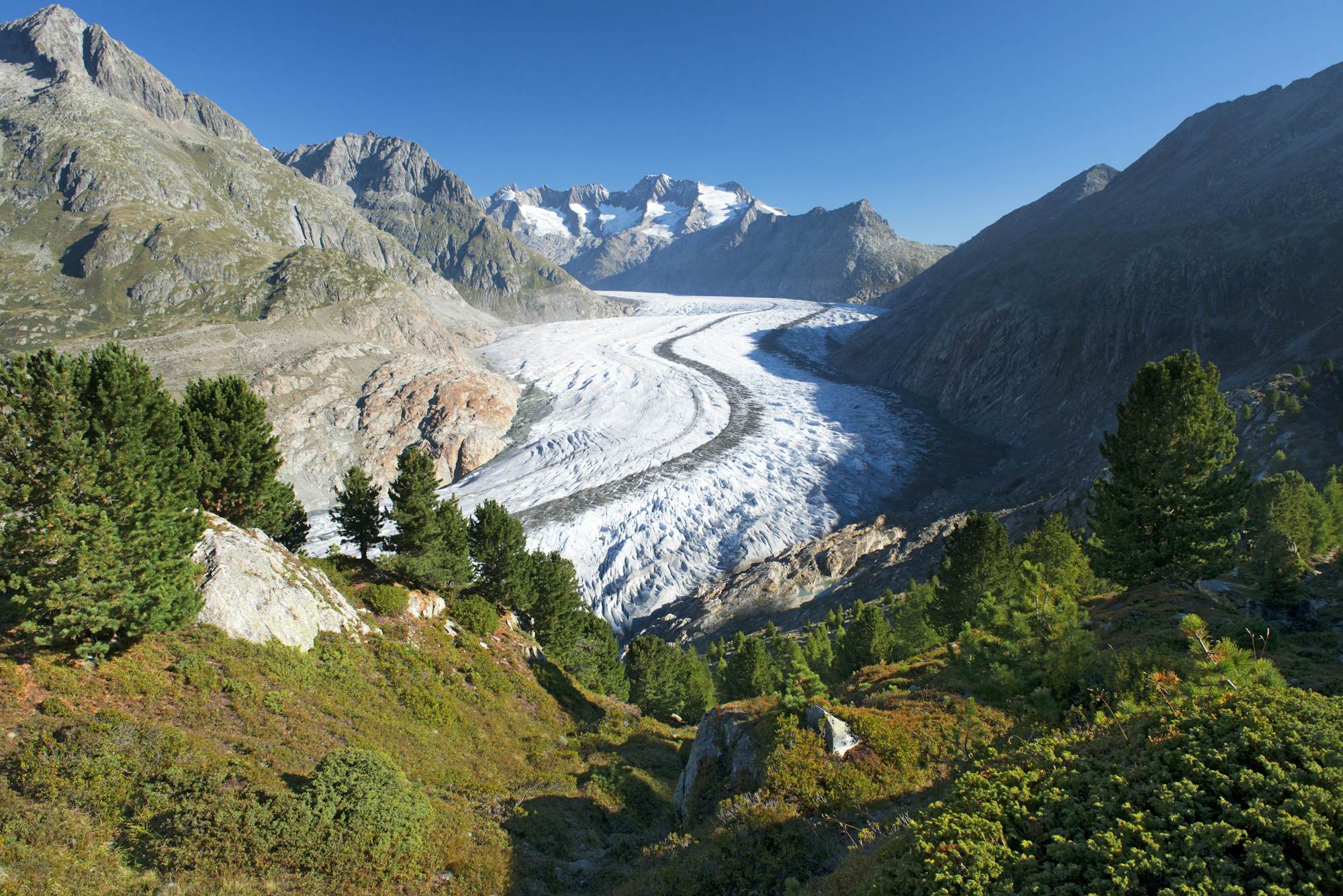 Aletsch Glacier | | Sights - Lonely Planet