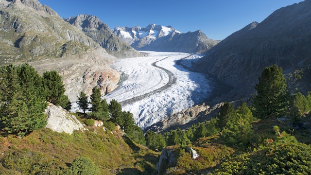 Aletsch Glacier, largest glacier in Swiss Alps.