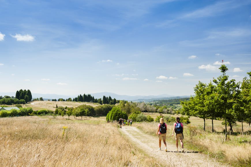 Two people wearing backpacks walk along a path through farmland on a sunny day
