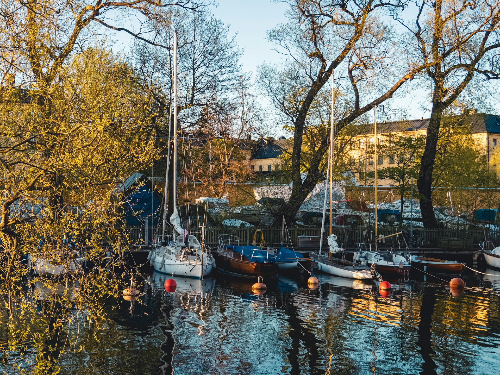 Moored Boats In The Canal By Langholmen park in Stockholm