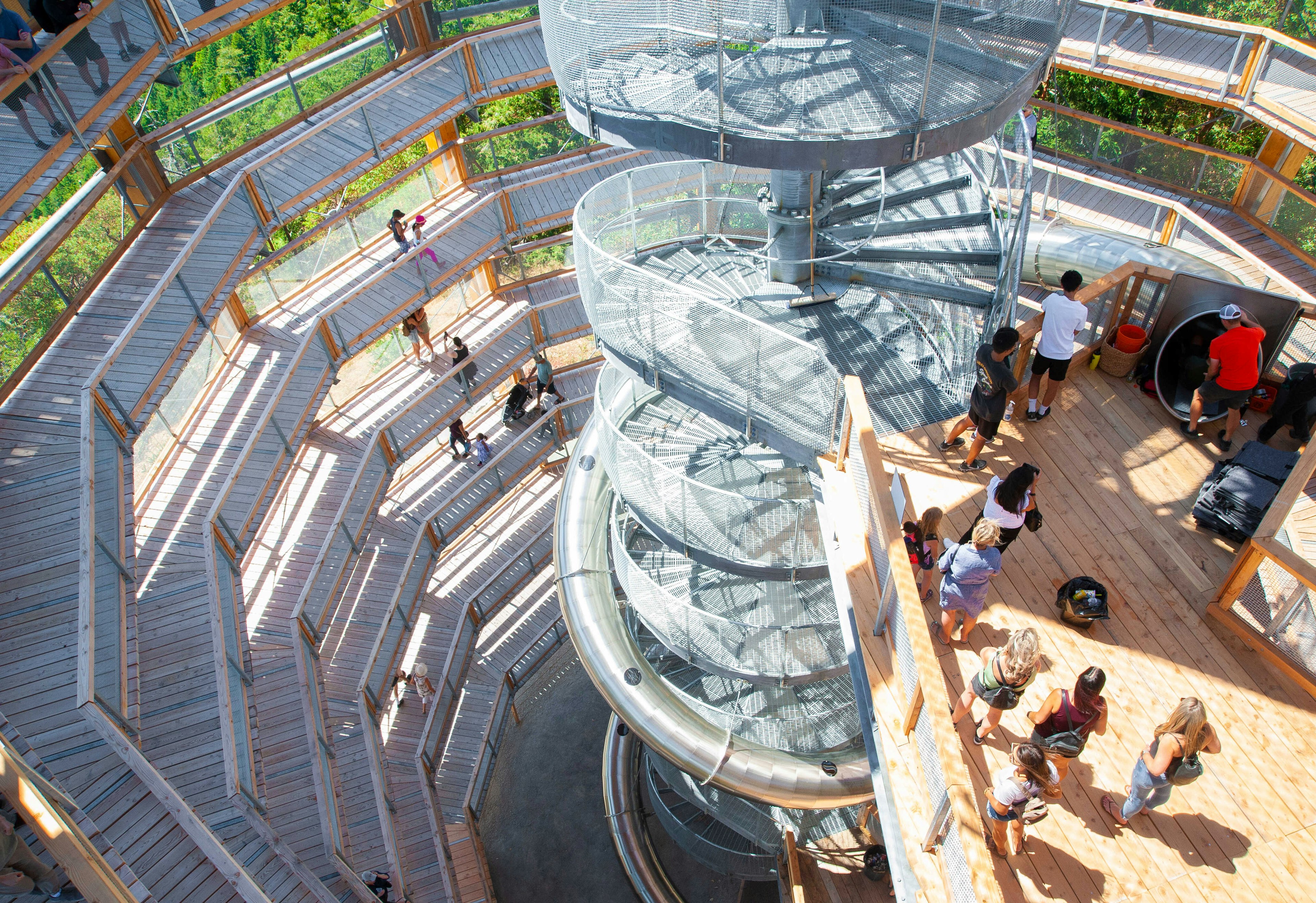 an elevated, wooden walkway rising through a forest, with a spiral slide.