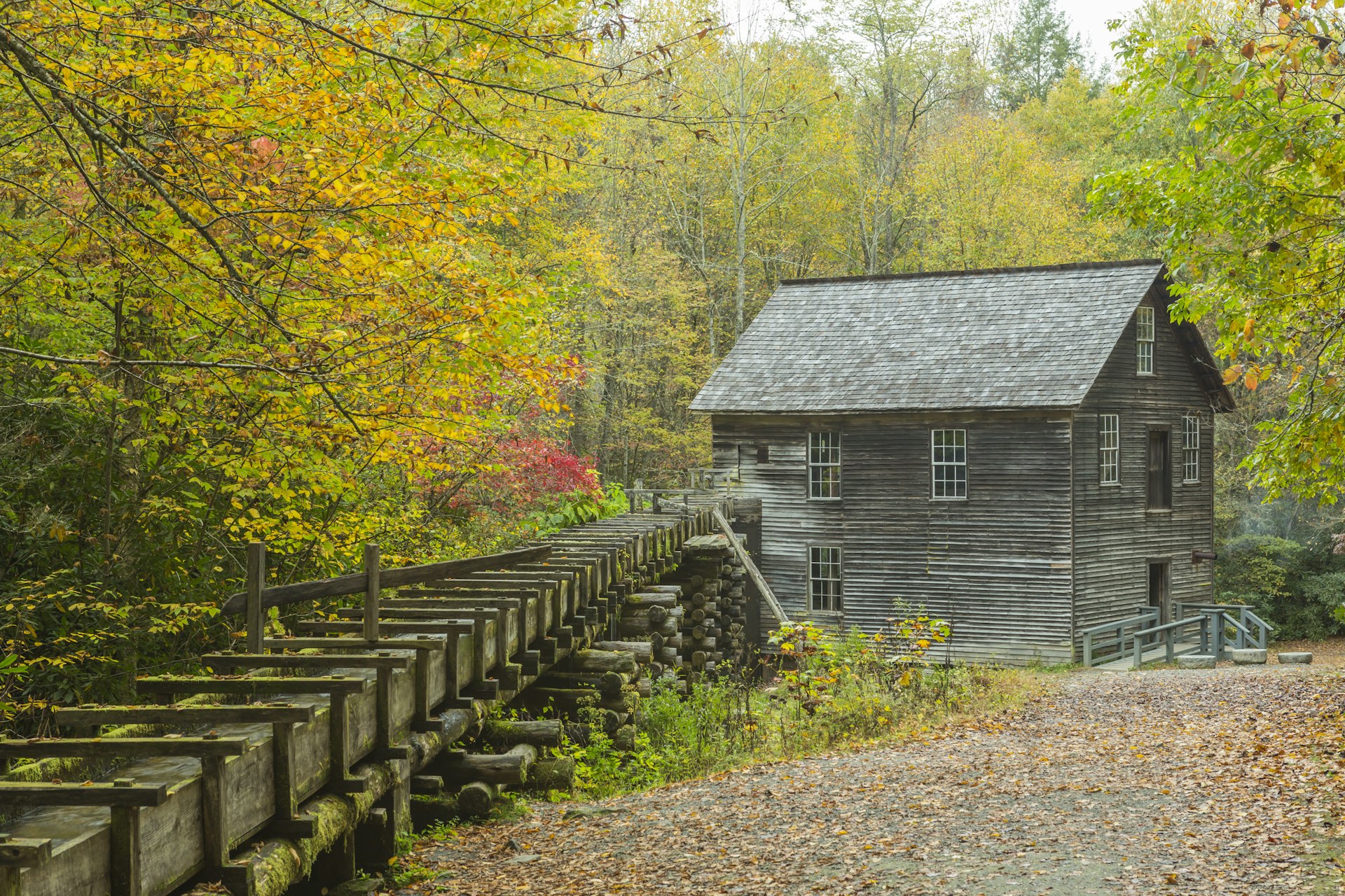 A wooden heritage building, used as a mill, is surrounded by green forest. A man-made wooden stream leads to the mill.