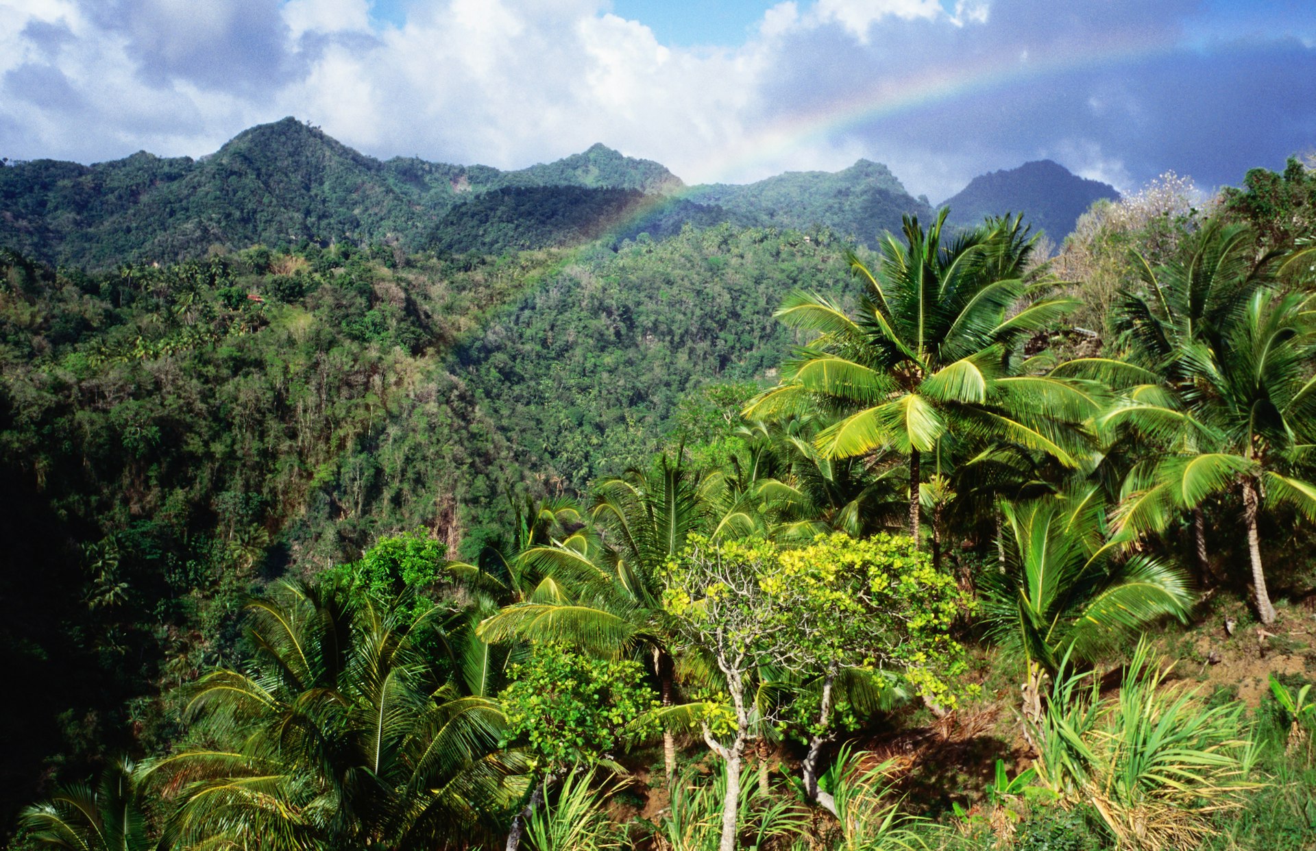 A rainbow over lush verdant rainforest near Belvedere, St Lucia