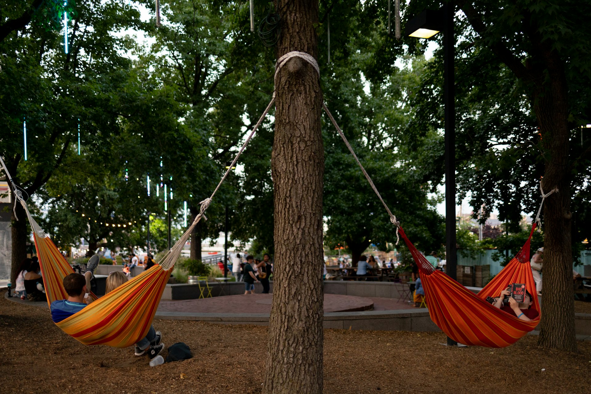 People sit in hammocks under tall trees at Spruce Street Harbor Park in Philadelphia. In the background people sit in chairs. 