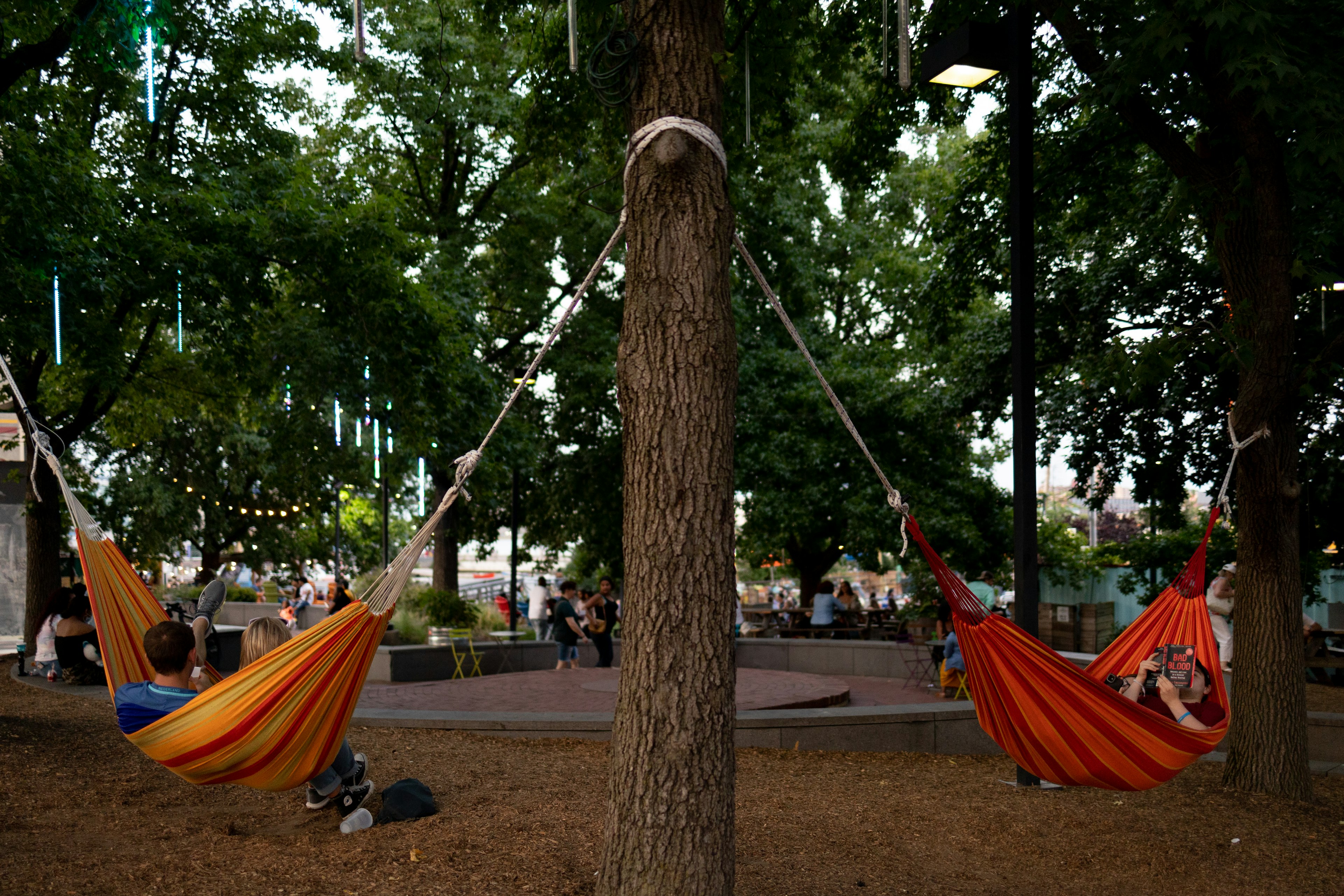 People sit in hammocks under tall trees at Spruce Street Harbor Park in Philadelphia. In the background people sit in chairs.