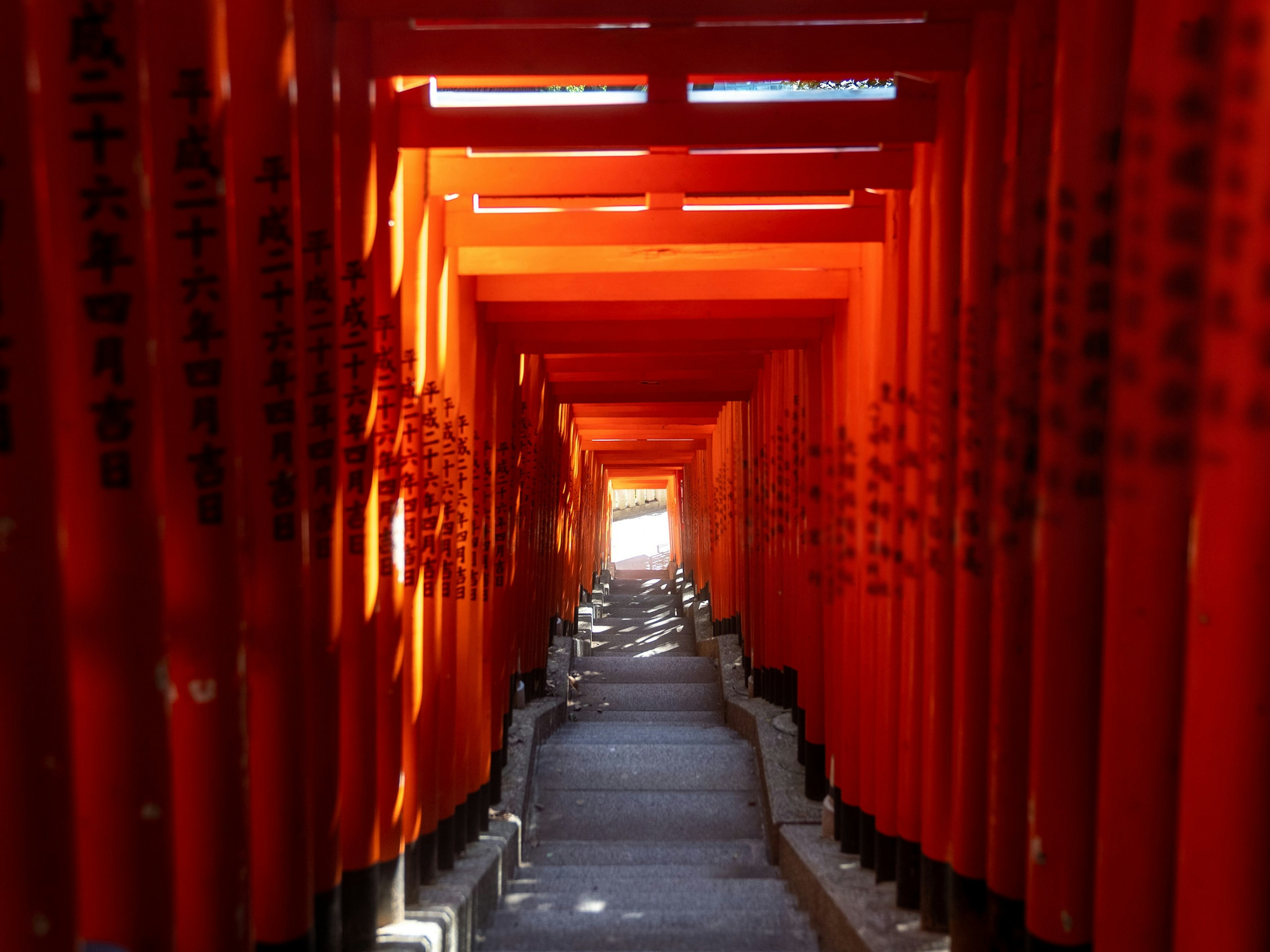 Tokyo-Sight-Hie-Shrine.jpg