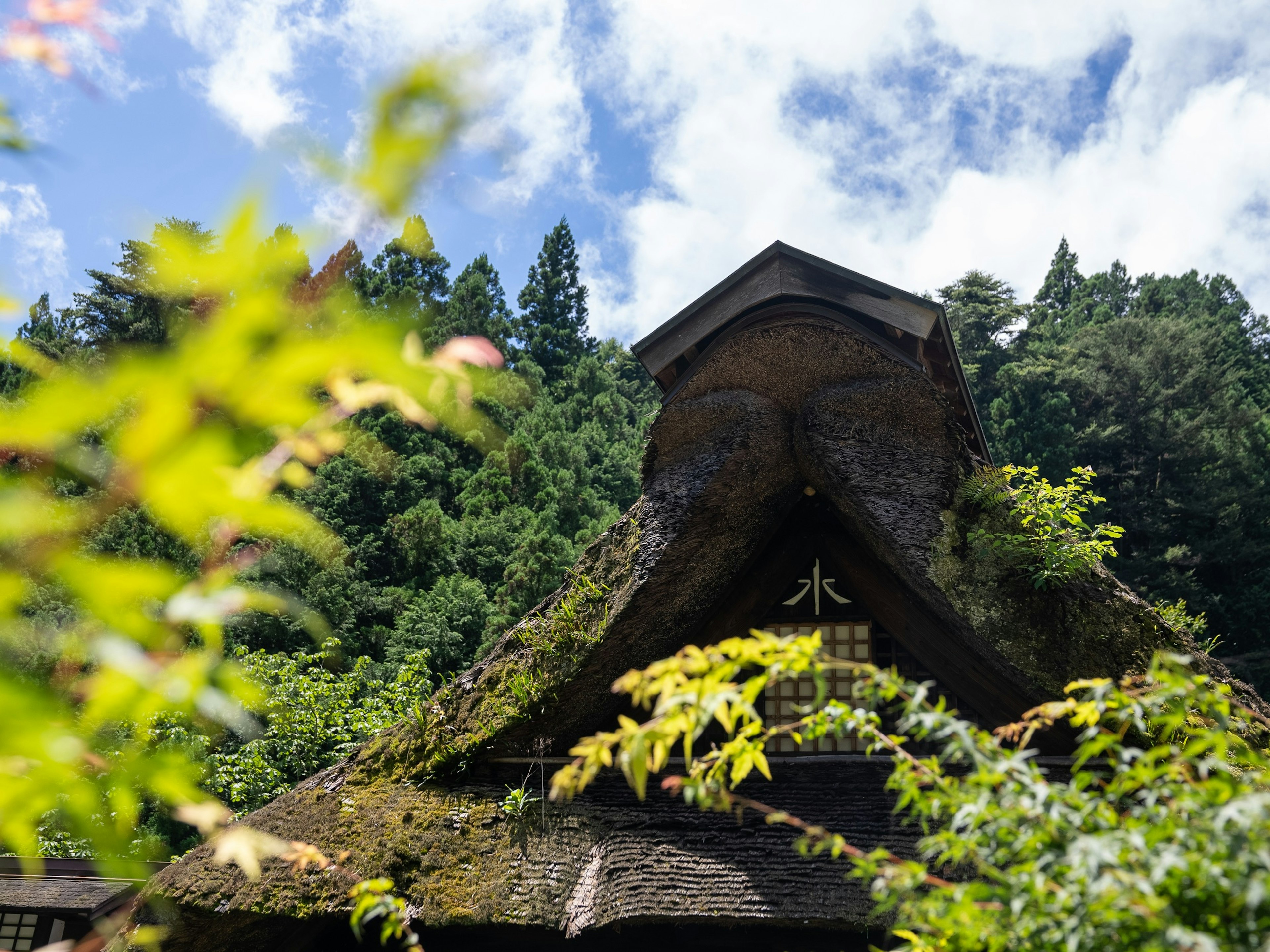 Tokyo-Touch-Joanoyu-Onsen.jpg