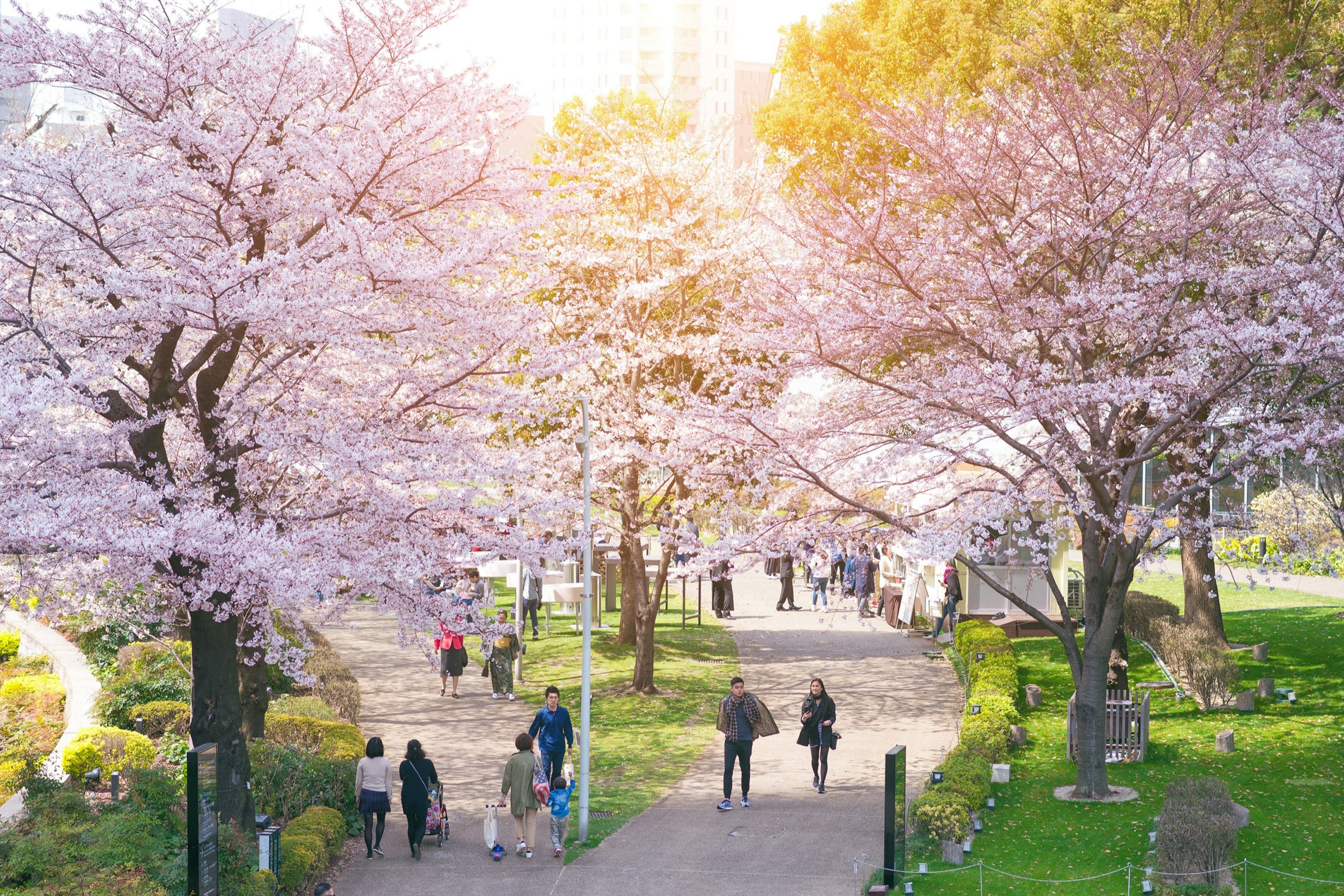 Tokyo_Spring.jpg