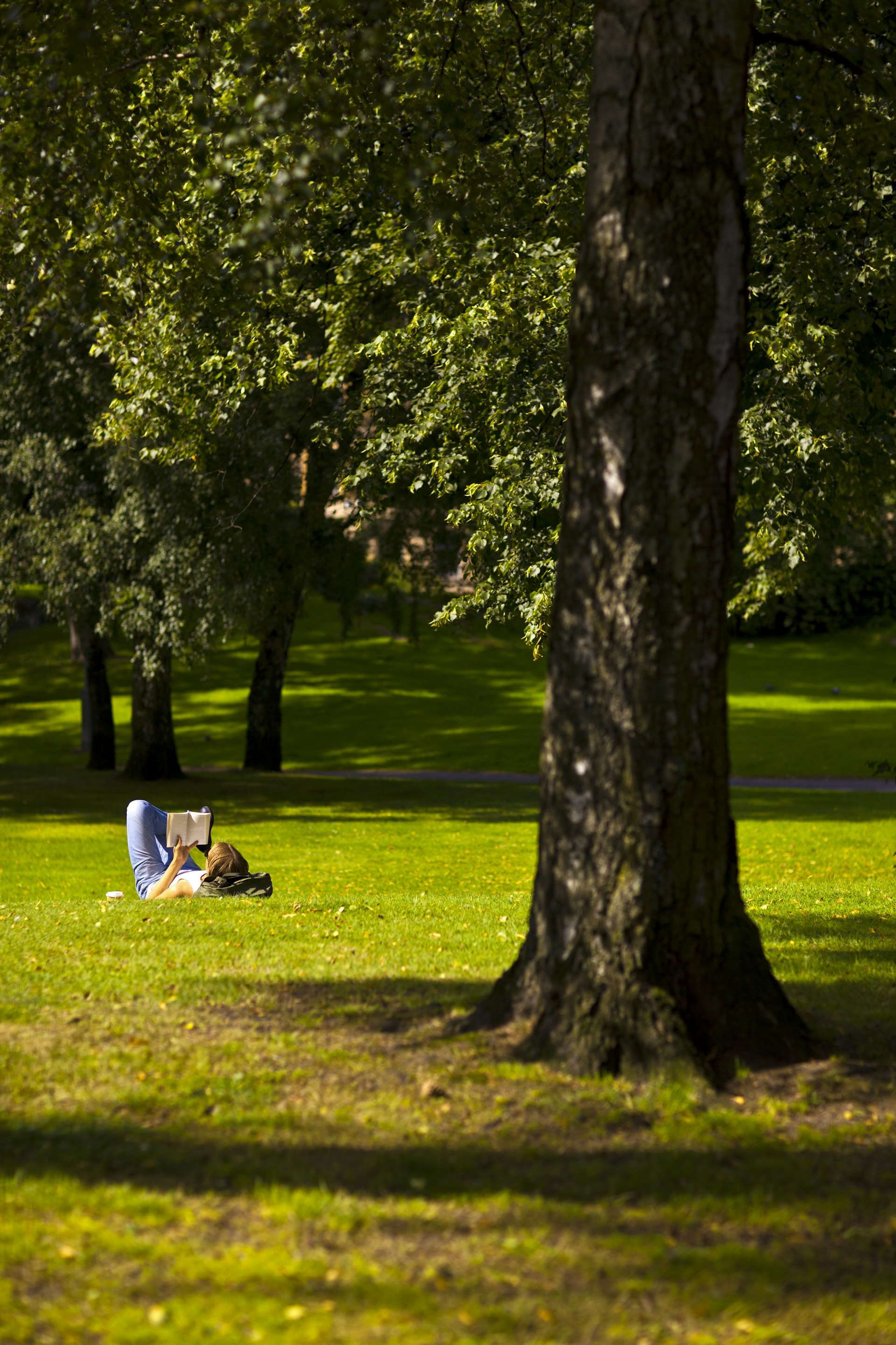 Woman reading a book on grass of Vasaparken.