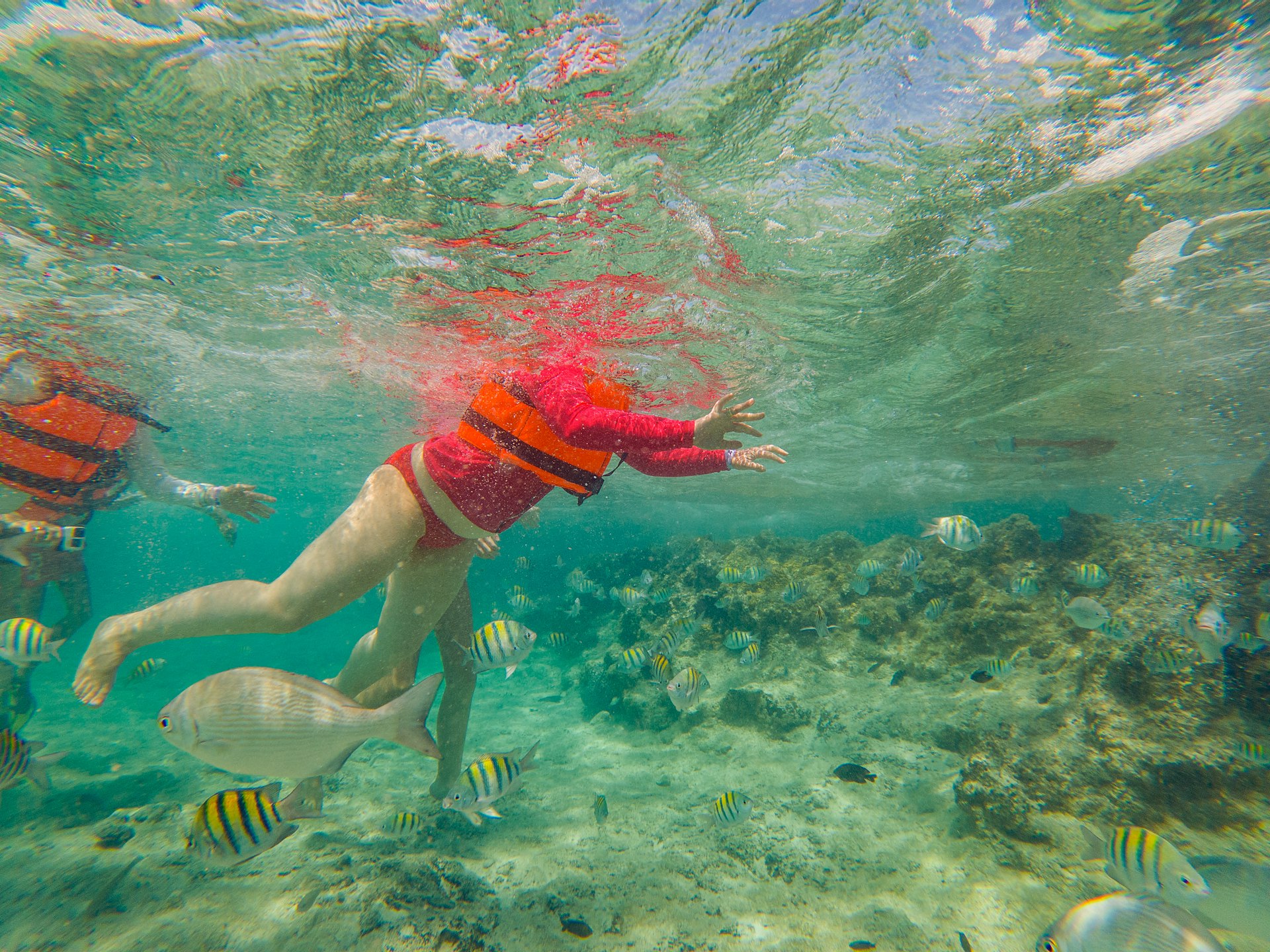 People exploring Caribbean Sea underwater