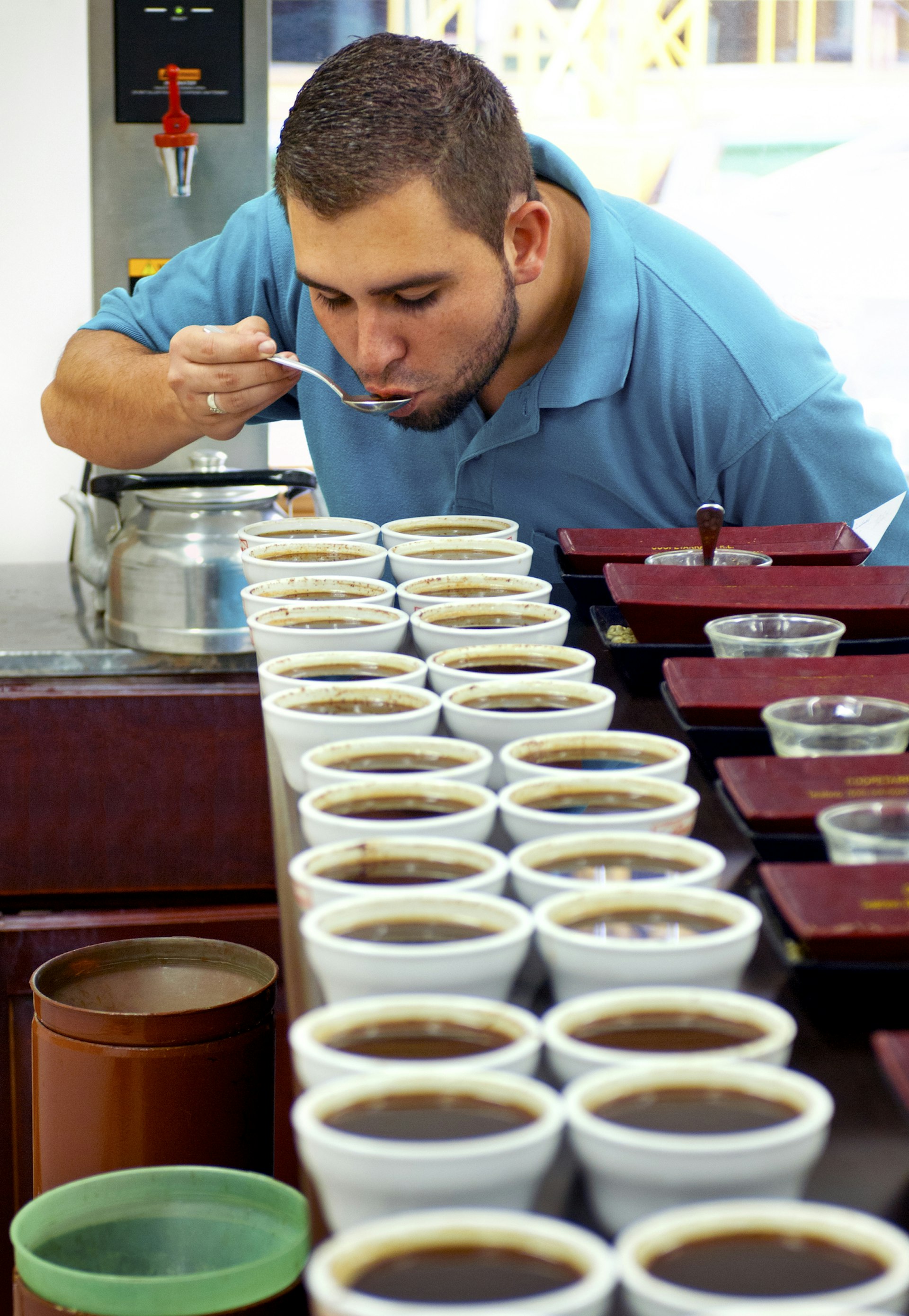 Coffee Taster