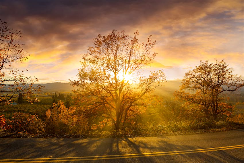 Sonnenschein durch Bäume an einem Herbsttag bei Sonnenuntergang am Hood River Sonnenschein durch Bäume an einem Herbsttag bei Sonnenuntergang am Hood River