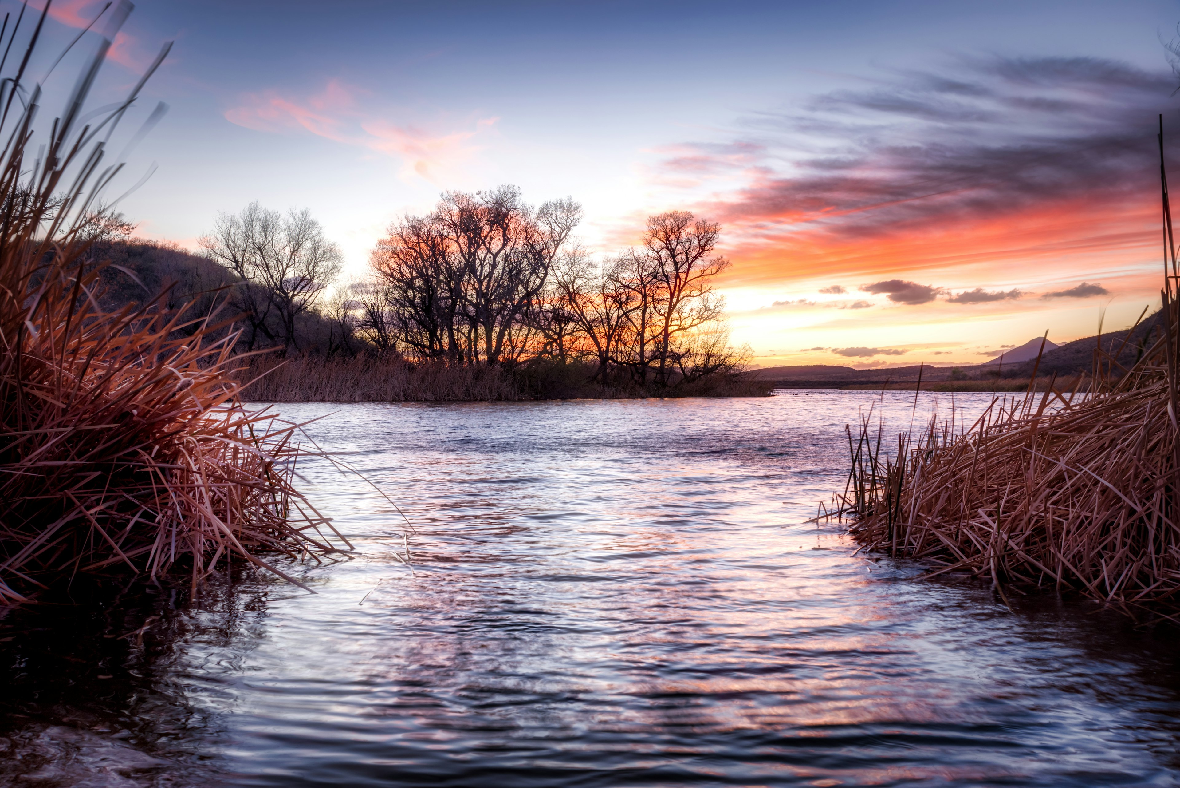 A lake with a reedy shoreline at sunset