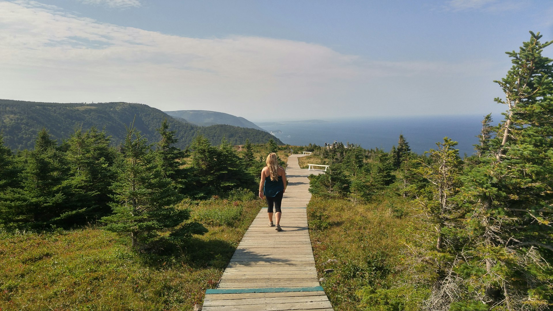 The back of a hiker as they walk down a wooden boardwalk on a clifftop hiking trail
